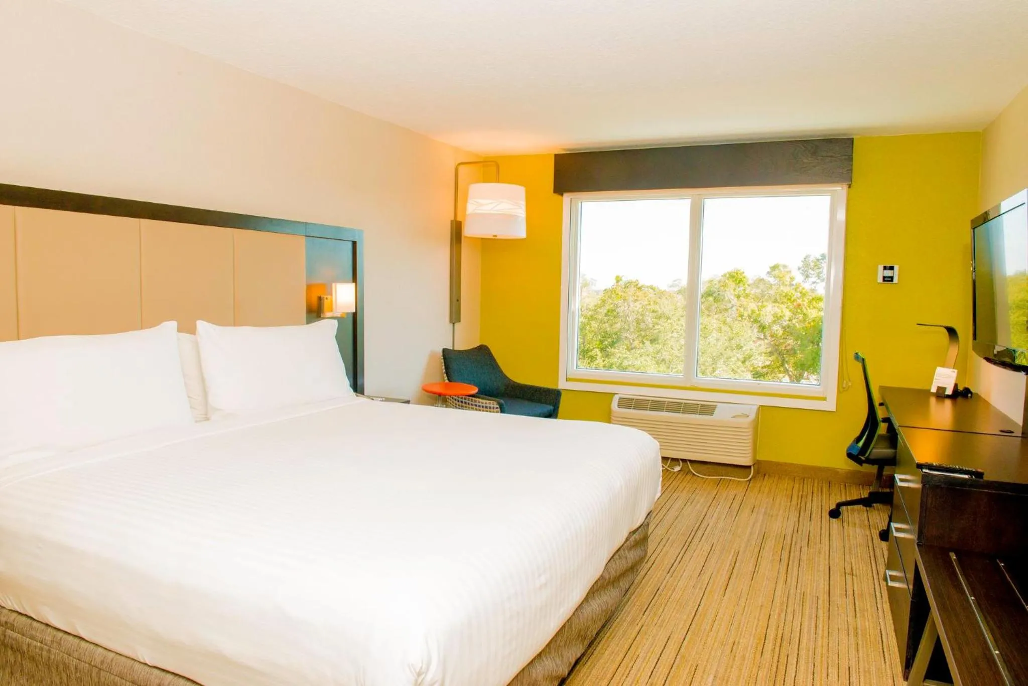 Photo of the whole room, Bed in Holiday Inn Express St. Petersburg North / I-275 by IHG