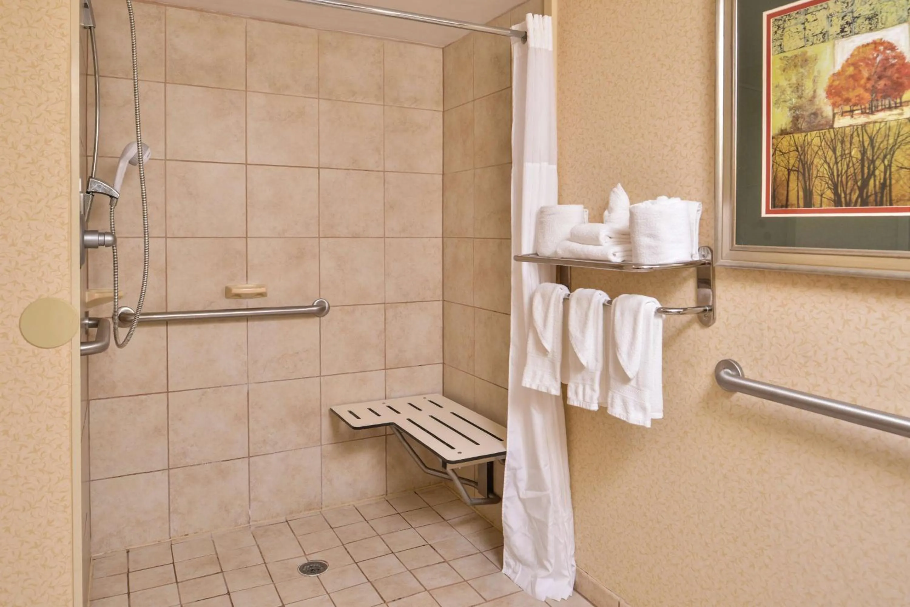 Bathroom in Hampton Inn Staunton