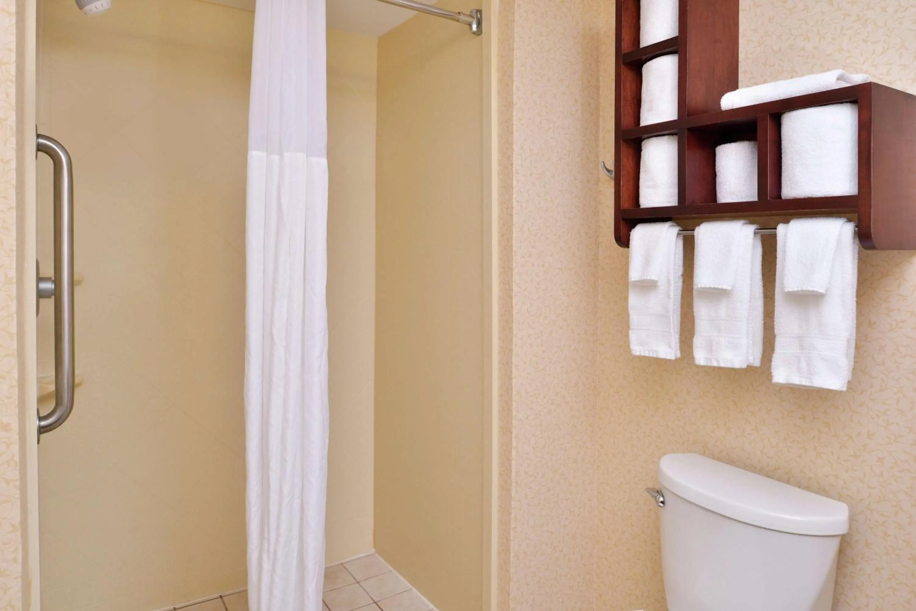 Bathroom in Hampton Inn Staunton