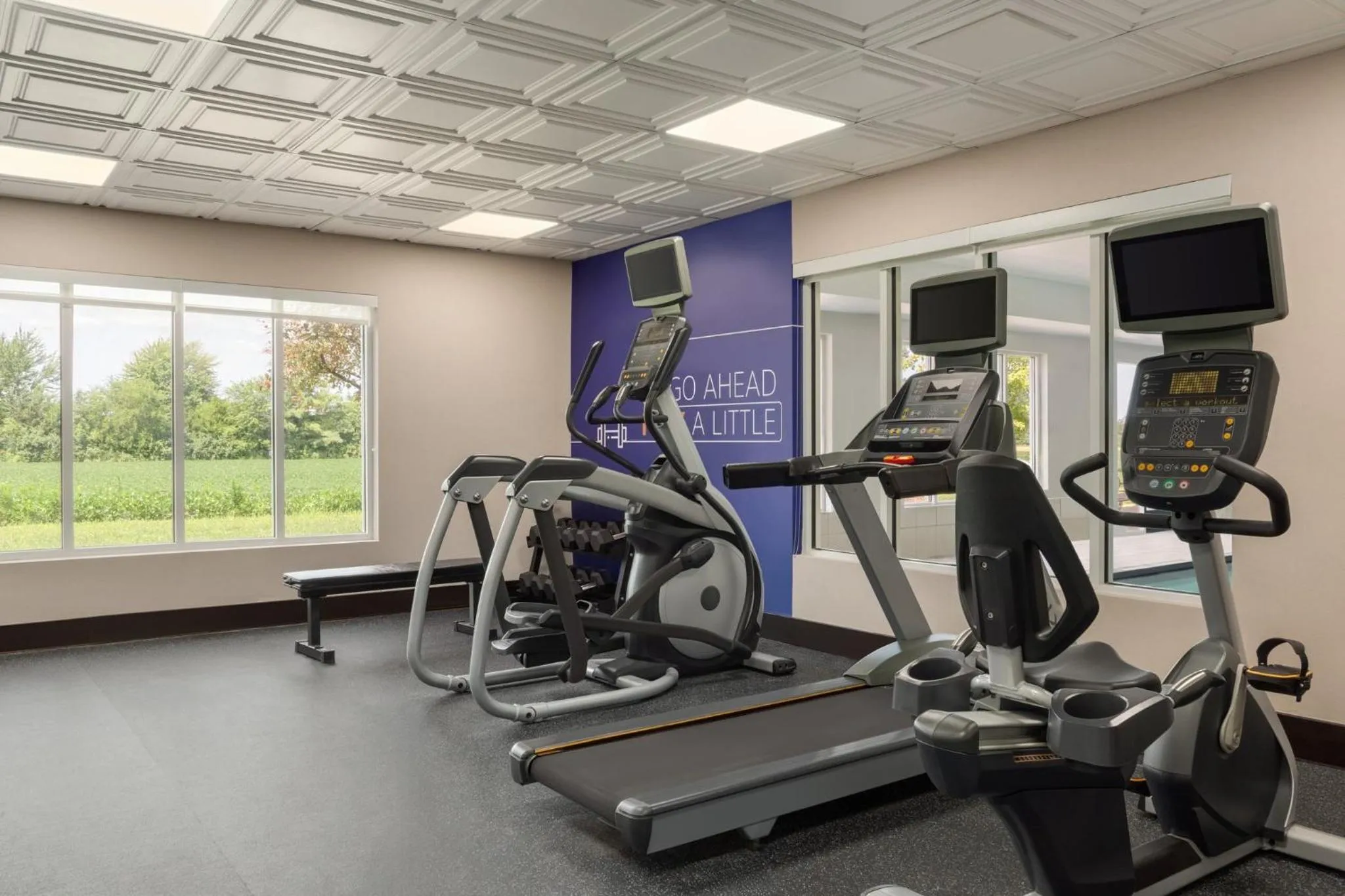 Fitness centre/facilities in Holiday Inn Express & Suites North Fremont by IHG