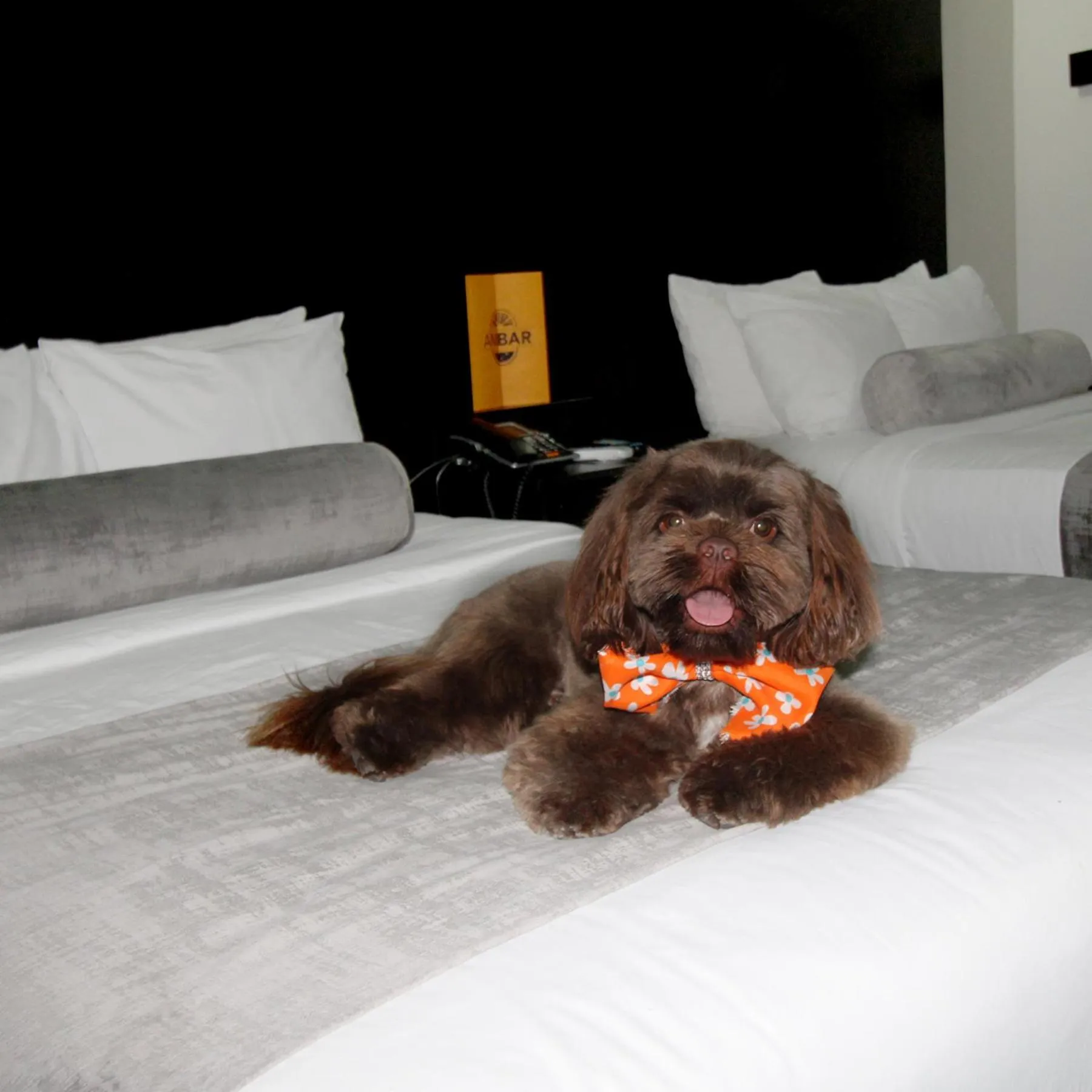 Living room in Stay Inn Hotels