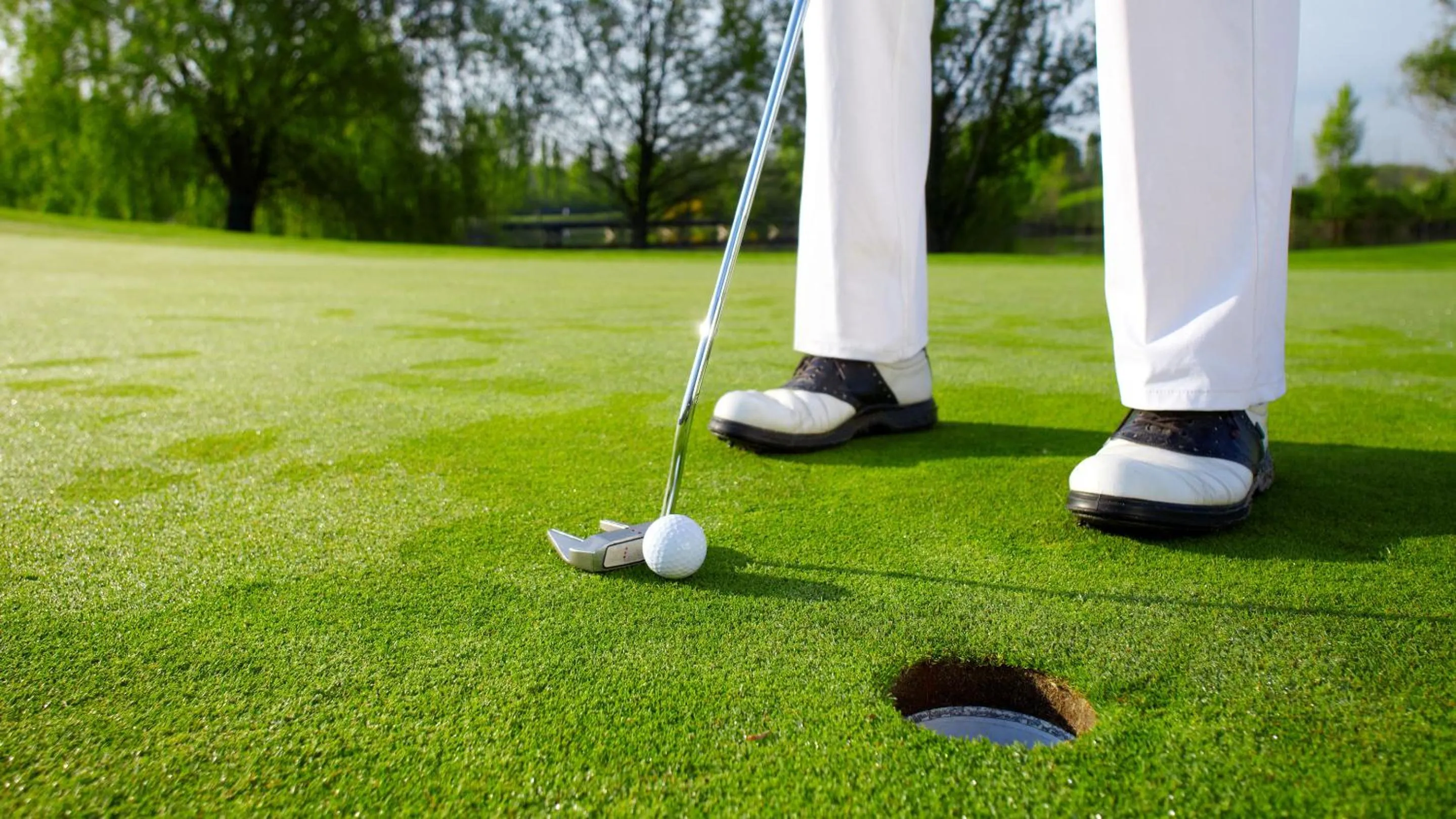 Golfcourse in Comfort Inn & Suites Tigard near Washington Square