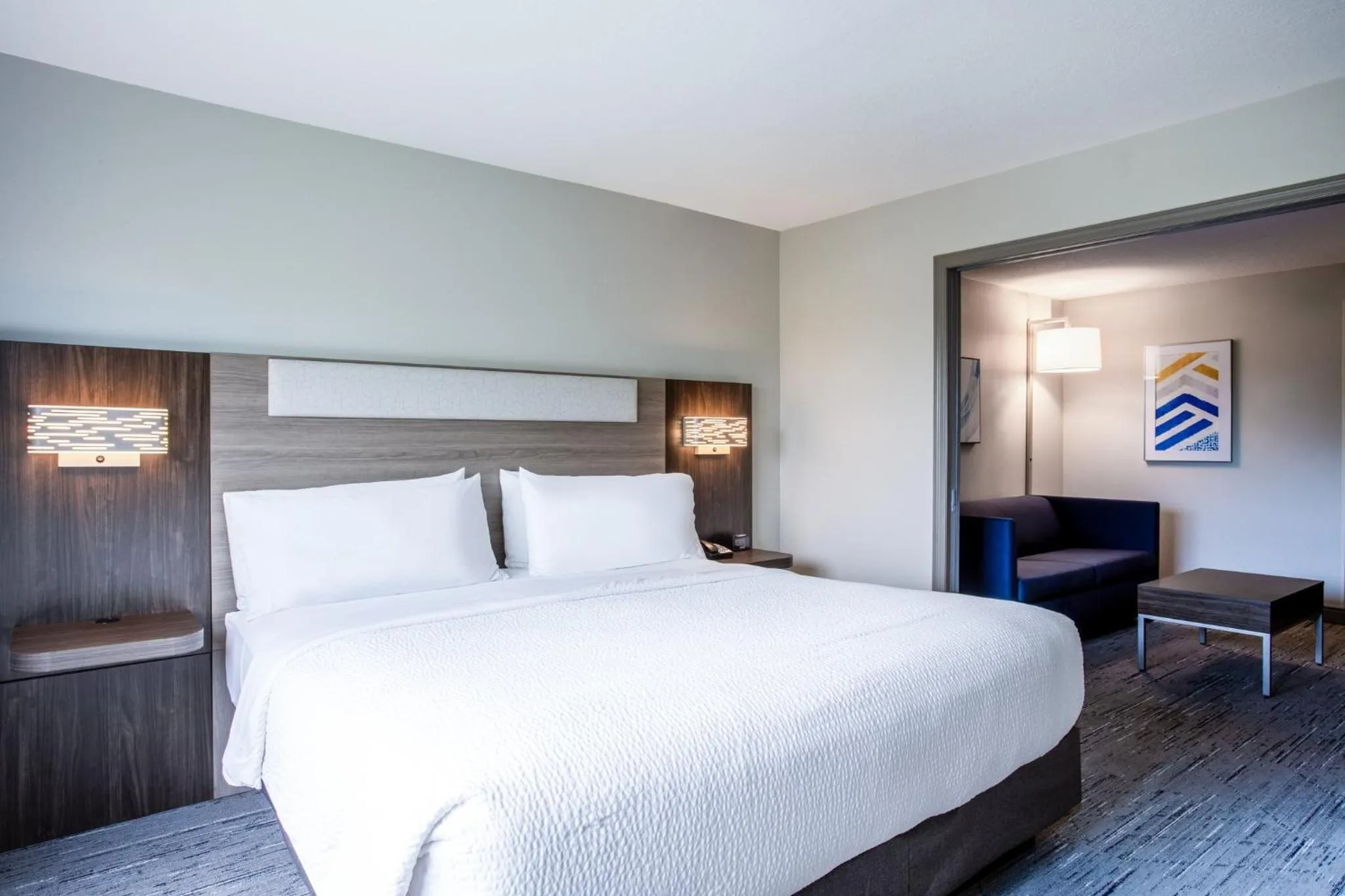 Photo of the whole room, Bed in Holiday Inn Express & Suites Bradenton East-Lakewood Ranch by IHG