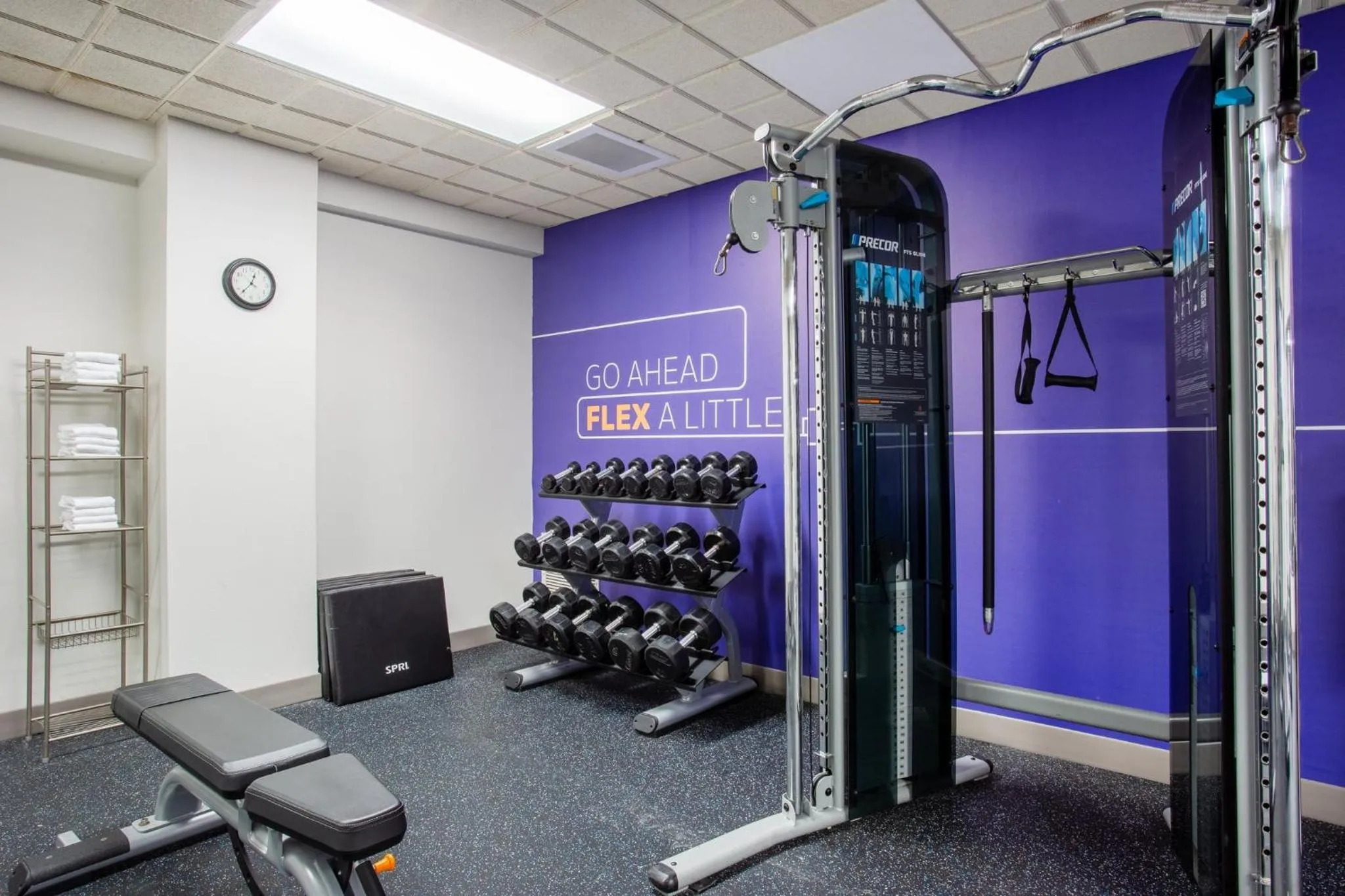 Fitness centre/facilities in Holiday Inn Express & Suites Bradenton East-Lakewood Ranch by IHG