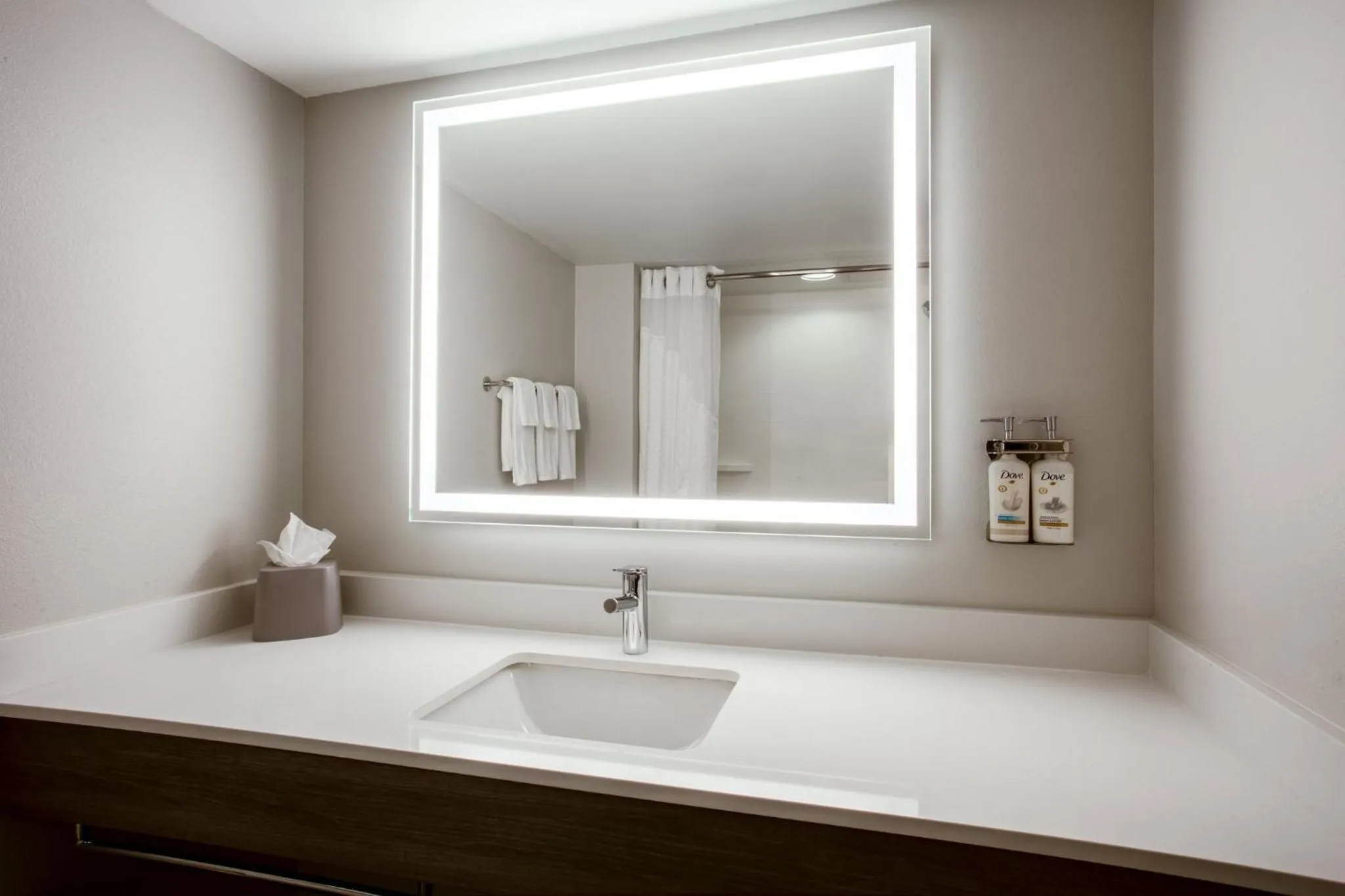Bathroom in Holiday Inn Express & Suites Bradenton East-Lakewood Ranch by IHG