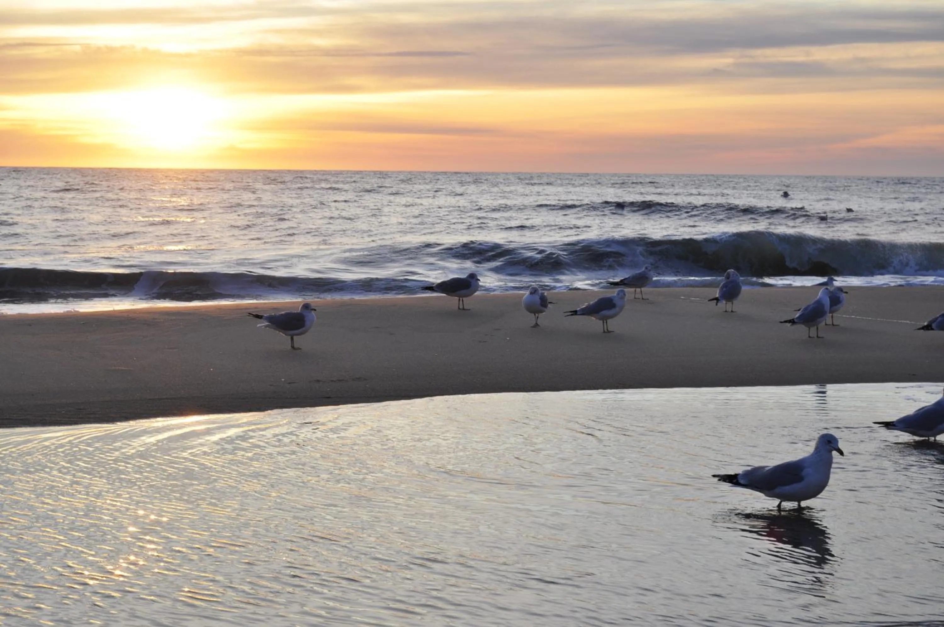 Beach in Crystal Beach Hotel