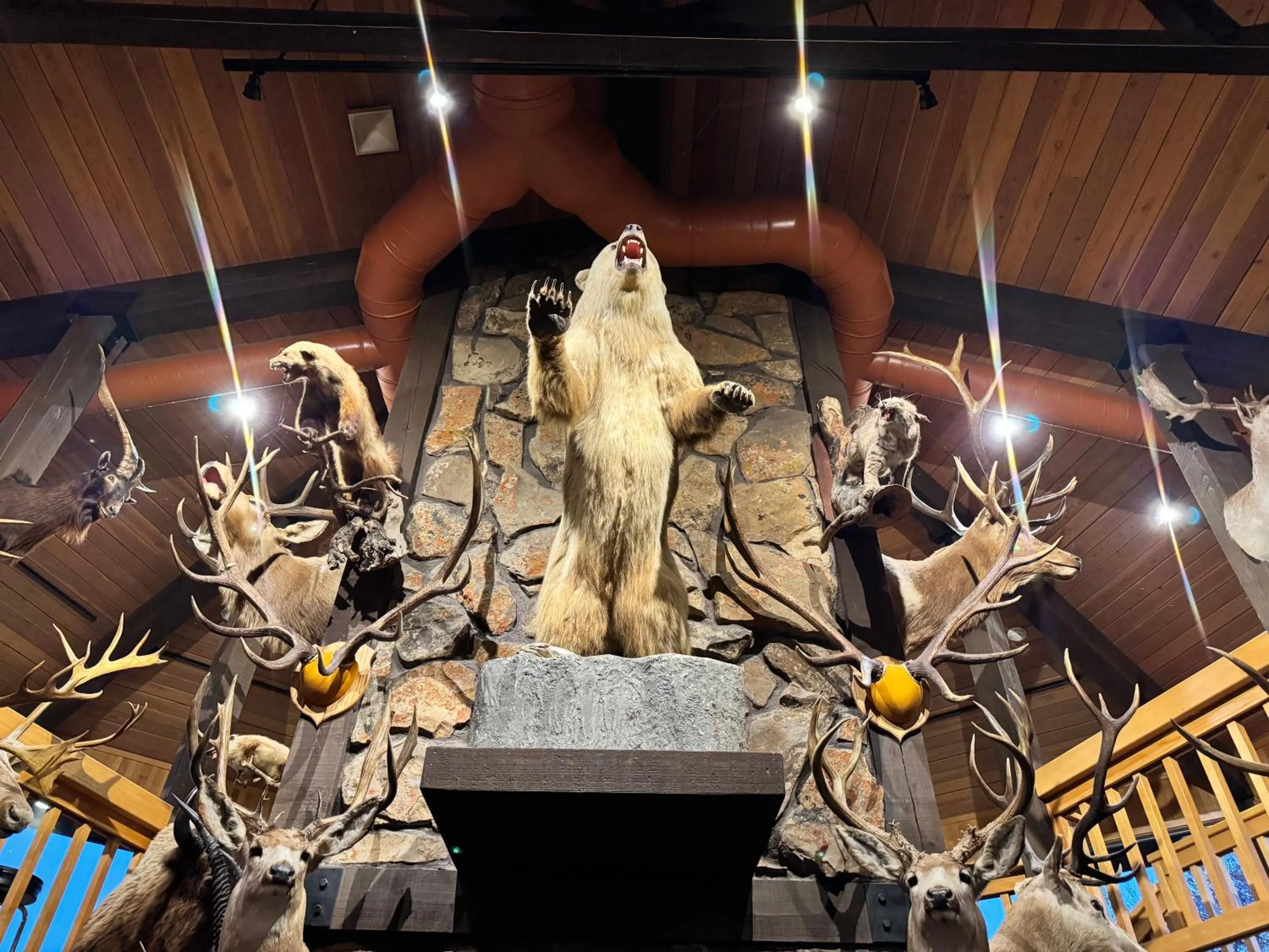 Hot Springs Hotel & Spa