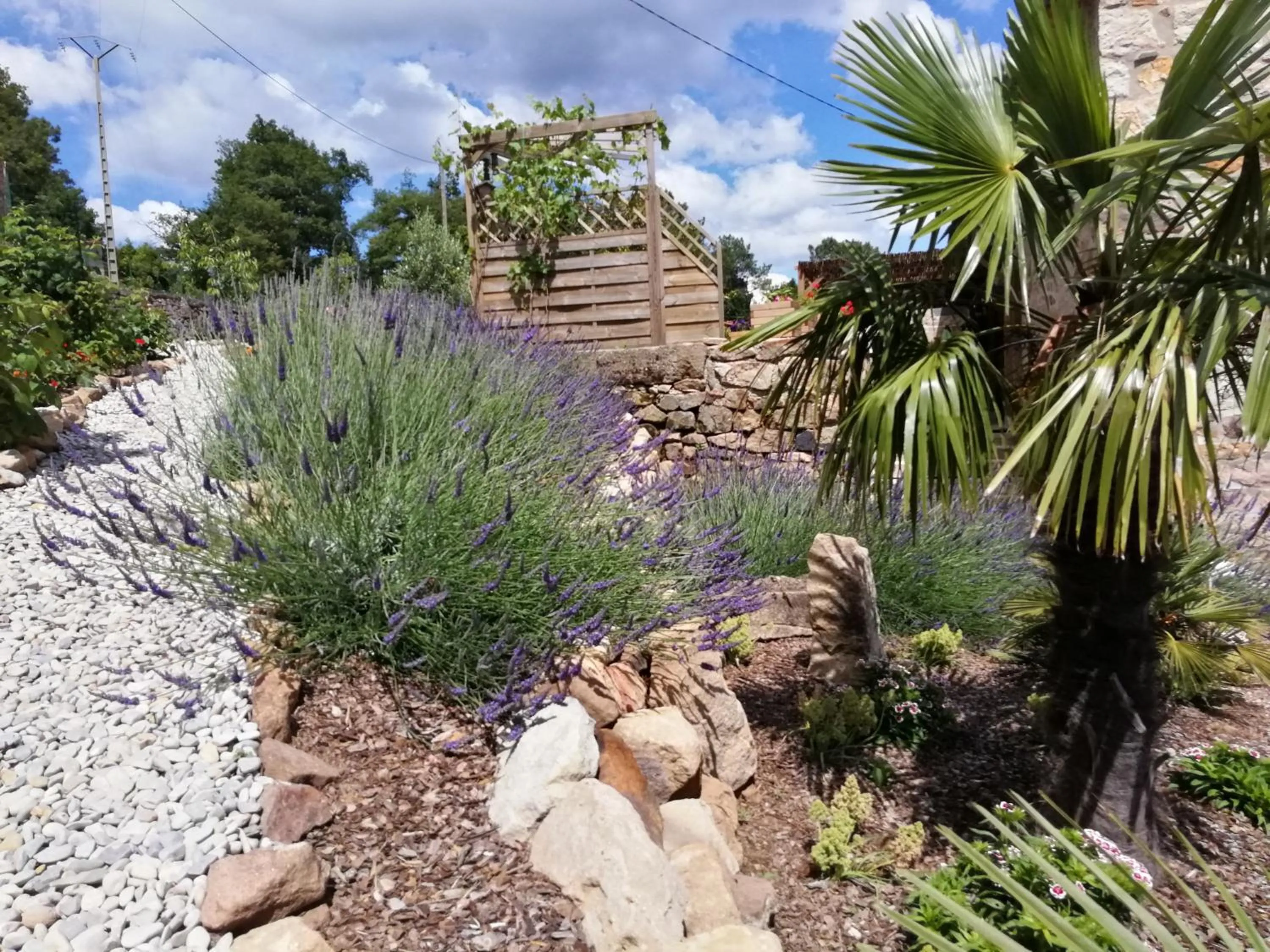 Garden in La Garenne