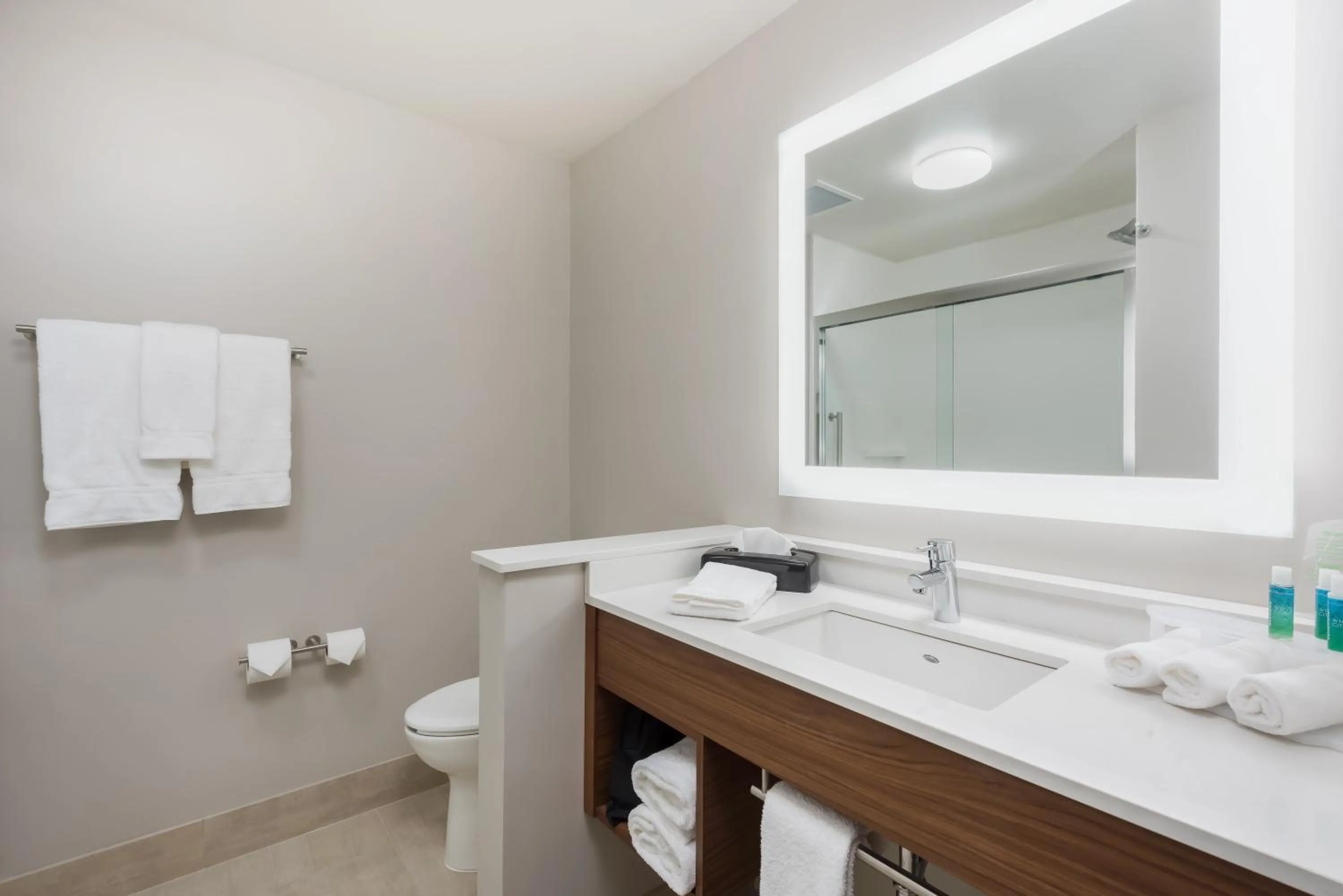 Bathroom in Holiday Inn Express & Suites West Plains Southwest by IHG