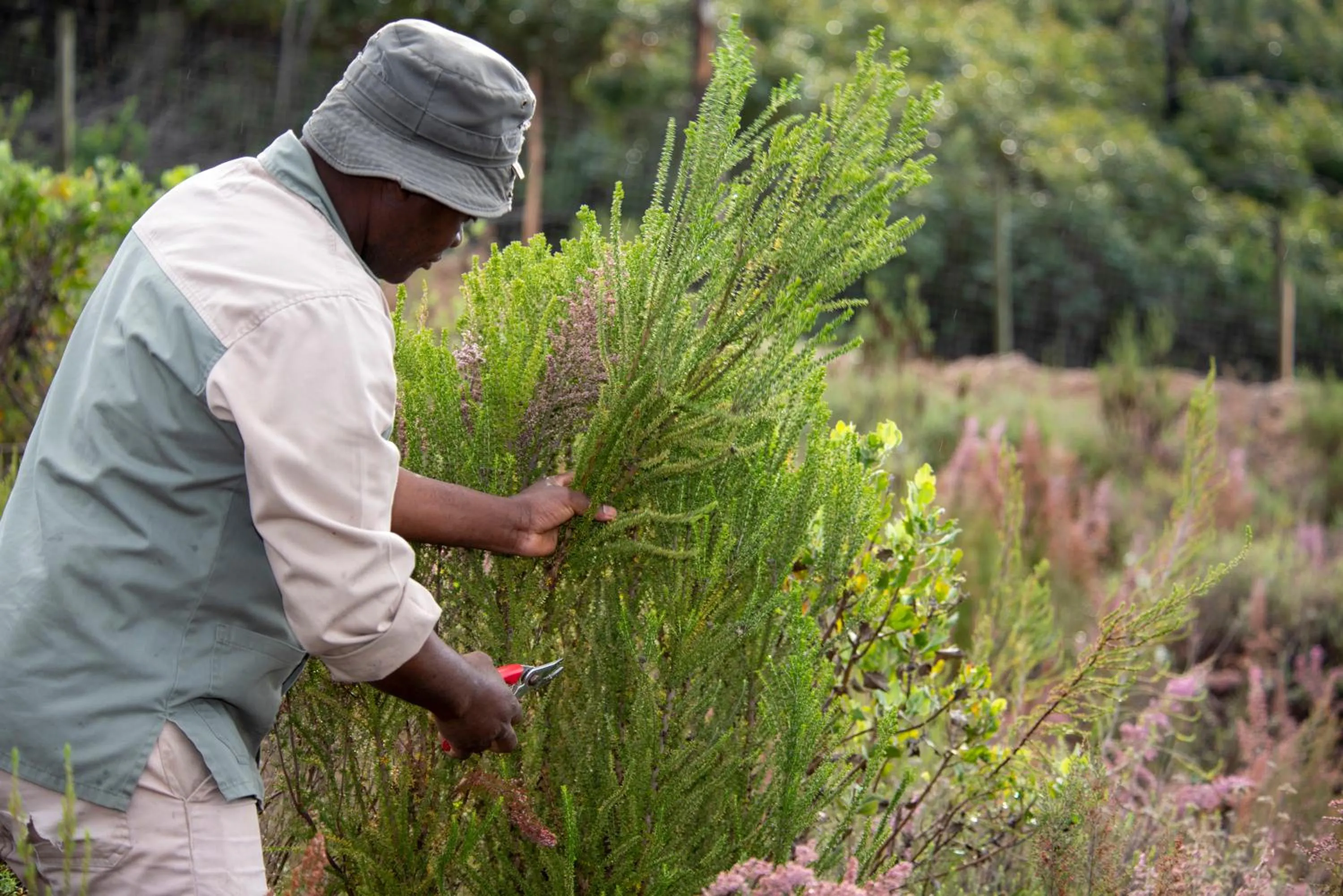 Hudson Manor - Entabeni, Knysna