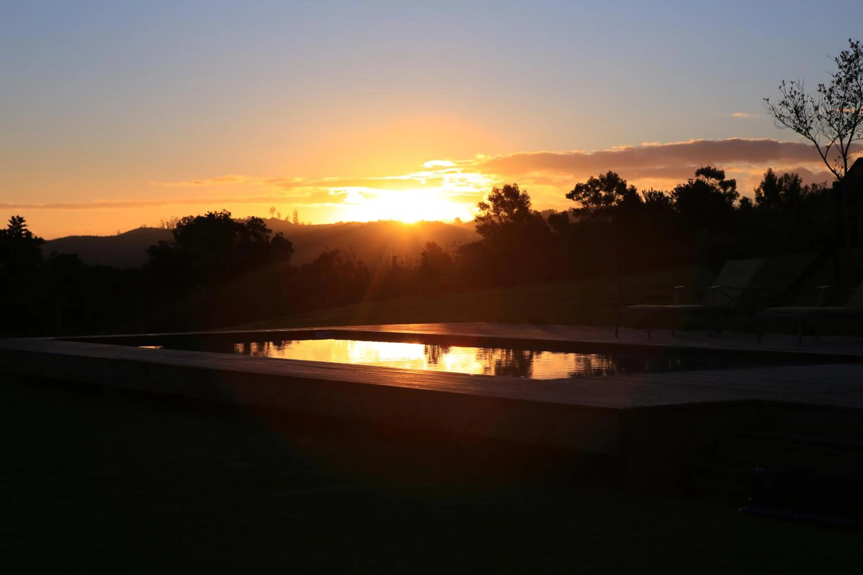 Natural landscape in Hudson Manor - Entabeni, Knysna