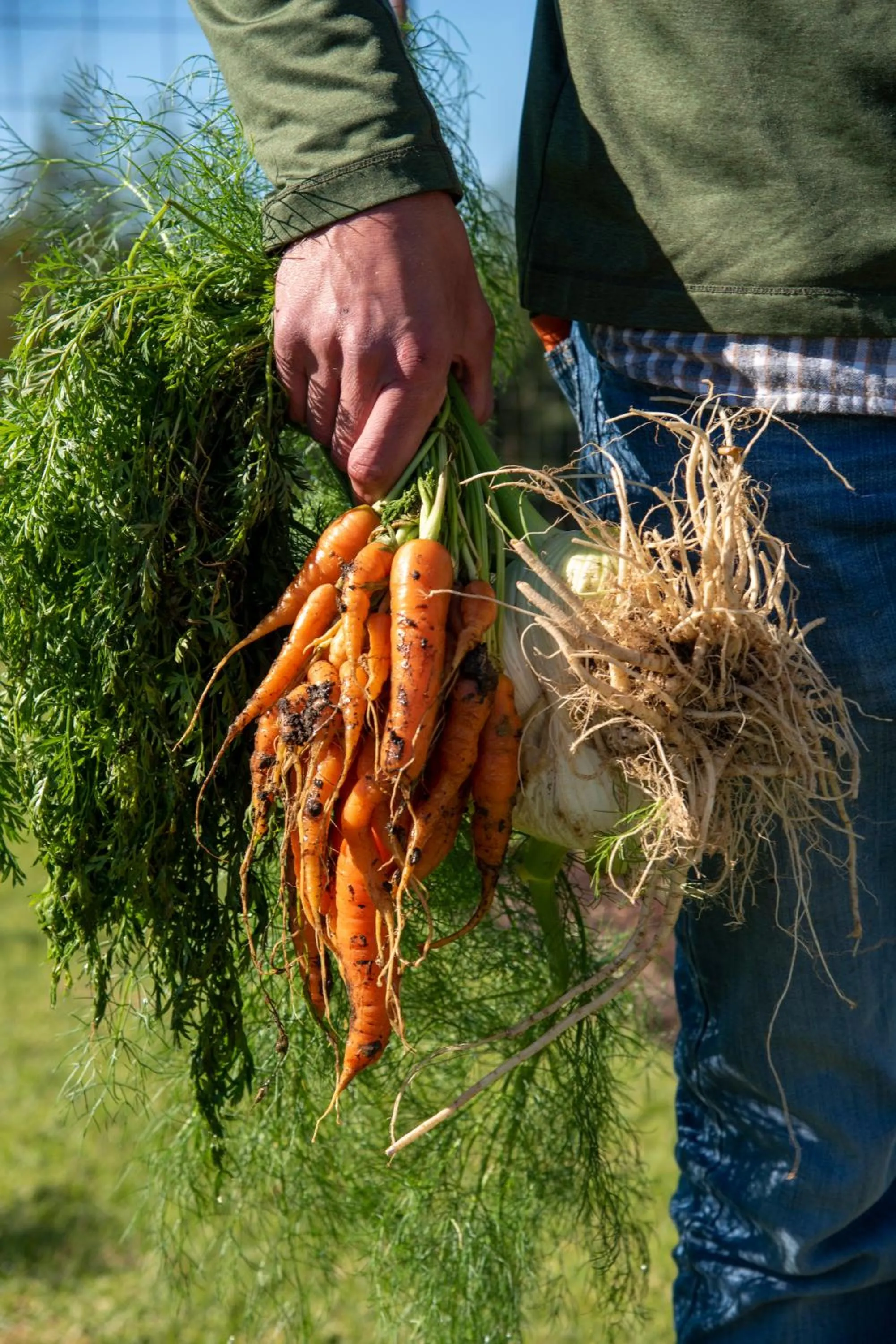 Hudson Manor - Entabeni, Knysna