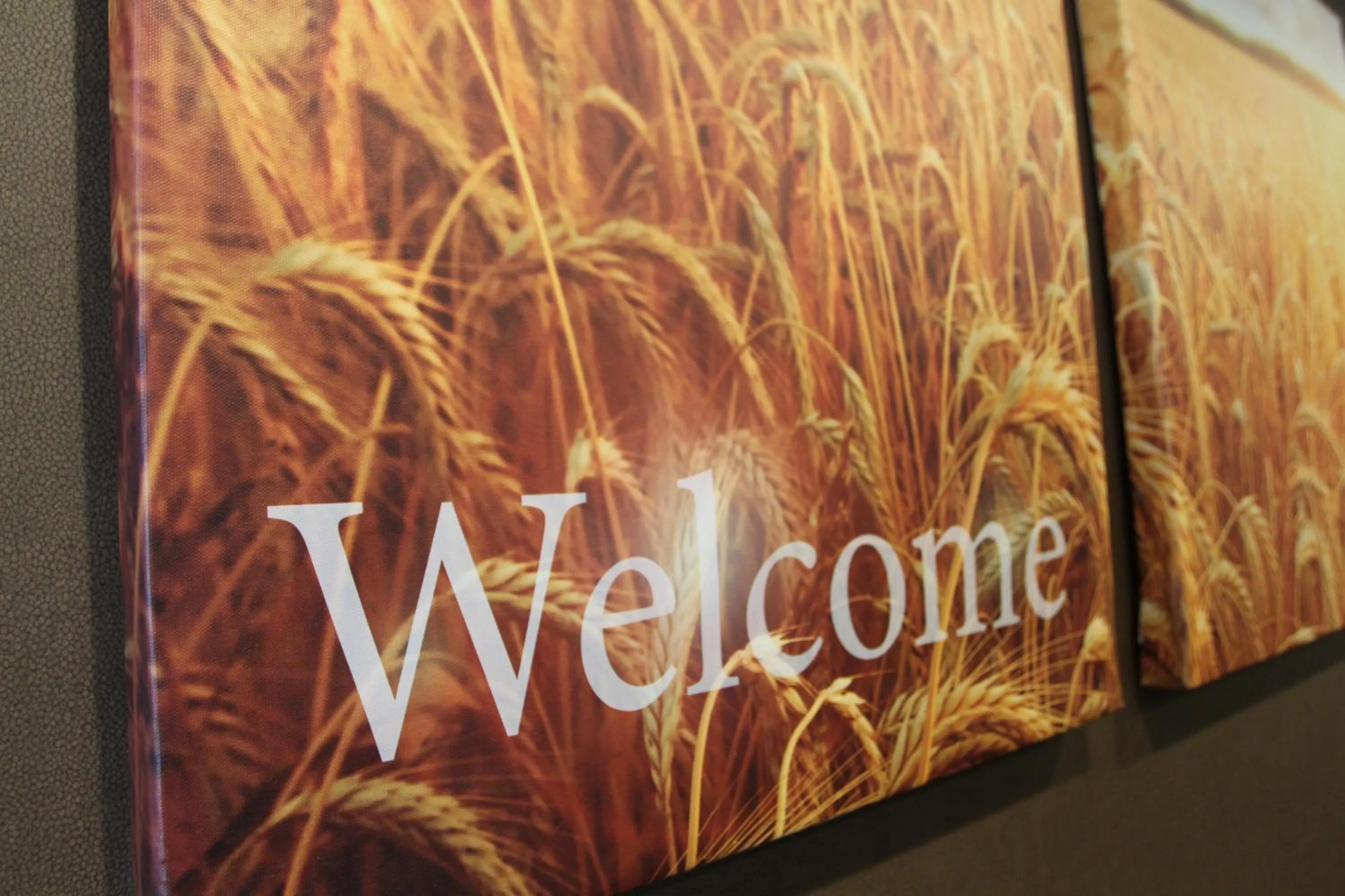 Lobby or reception in C'mon Inn Grand Forks