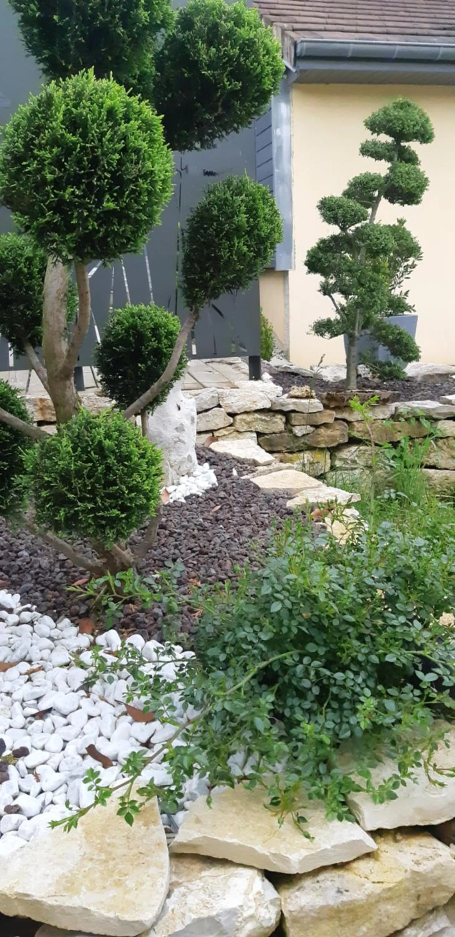 Garden view in La Villanelle maison d'hôtes