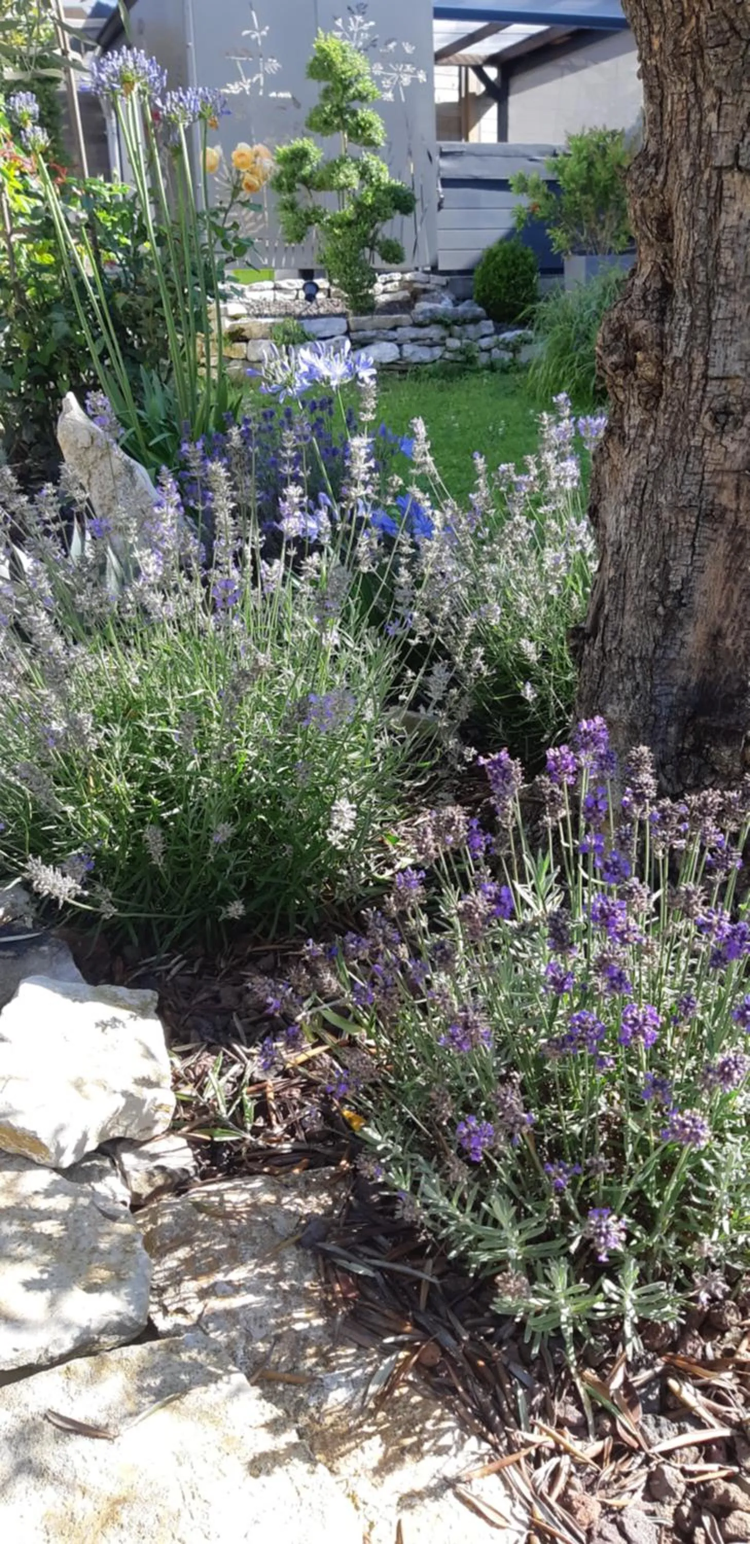 Garden view in La Villanelle maison d'hôtes