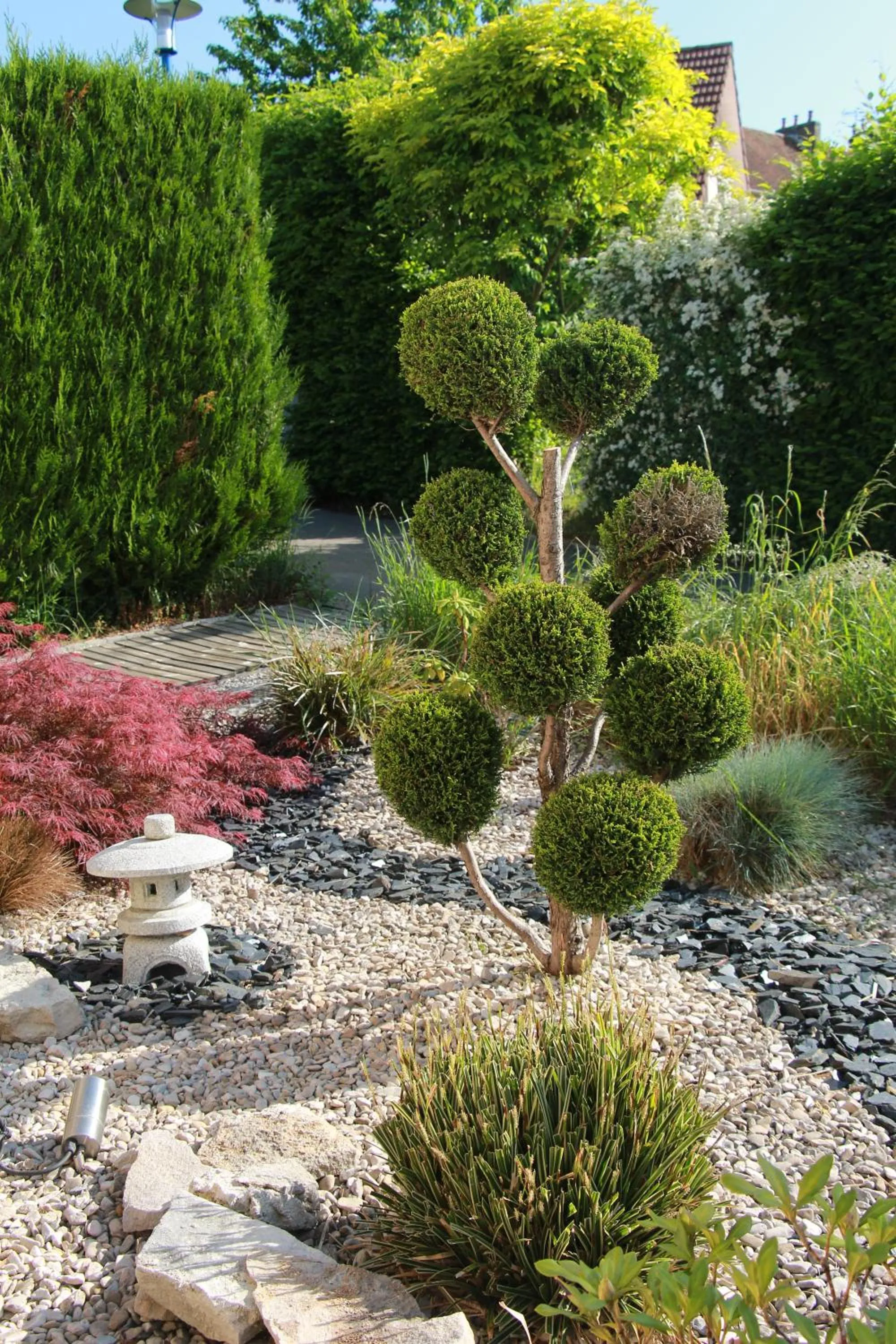 Garden in La Villanelle maison d'hôtes