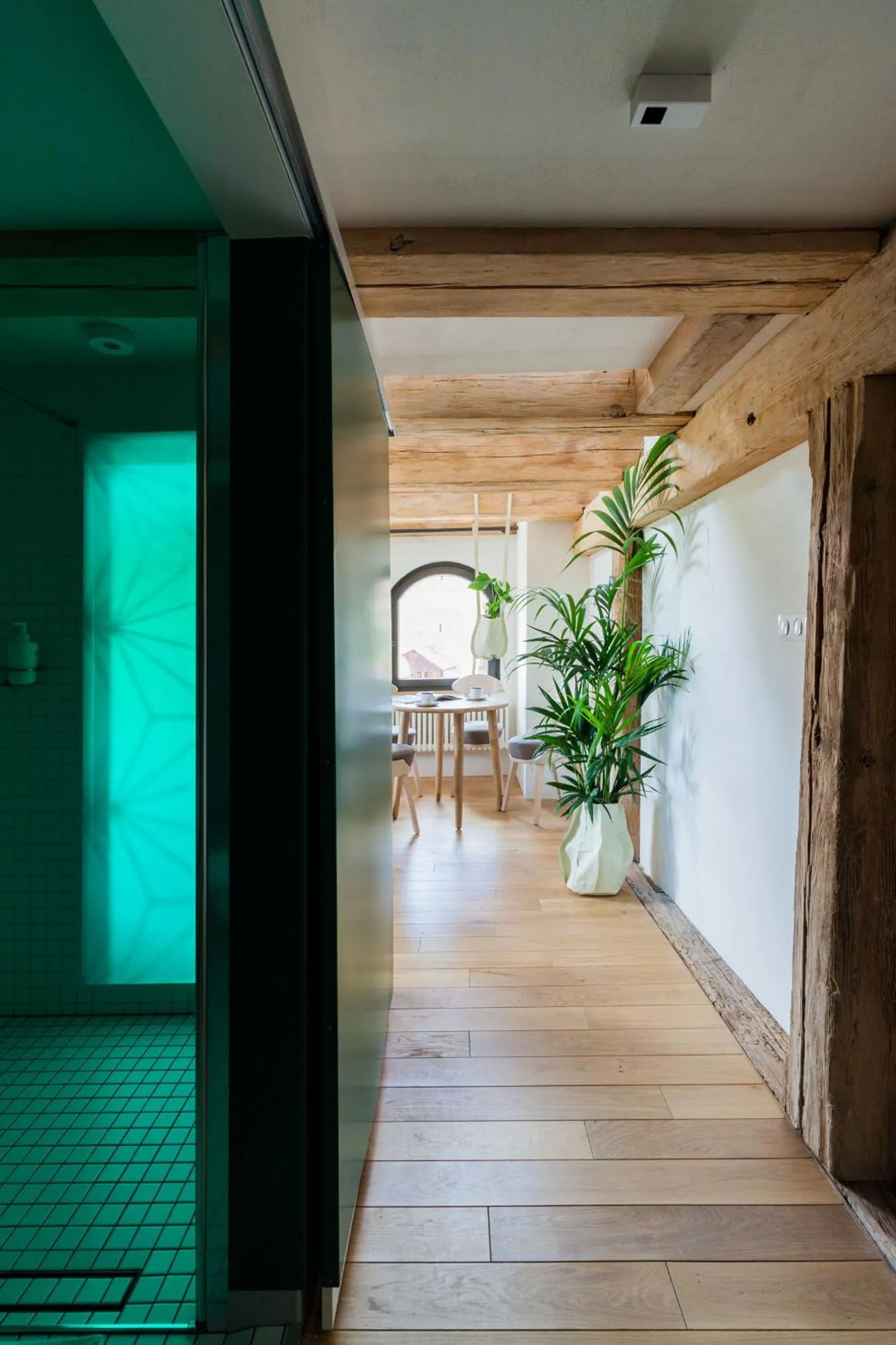 Shower in Apartamenty Monka