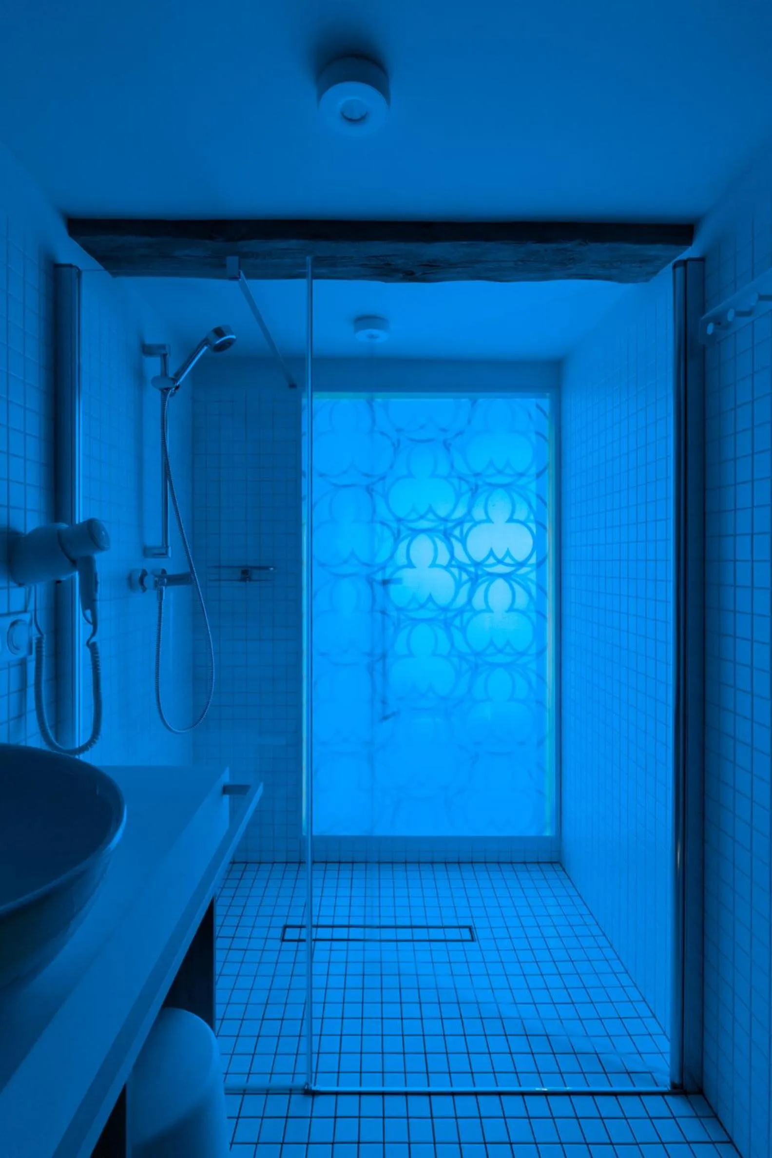 Toilet in Apartamenty Monka