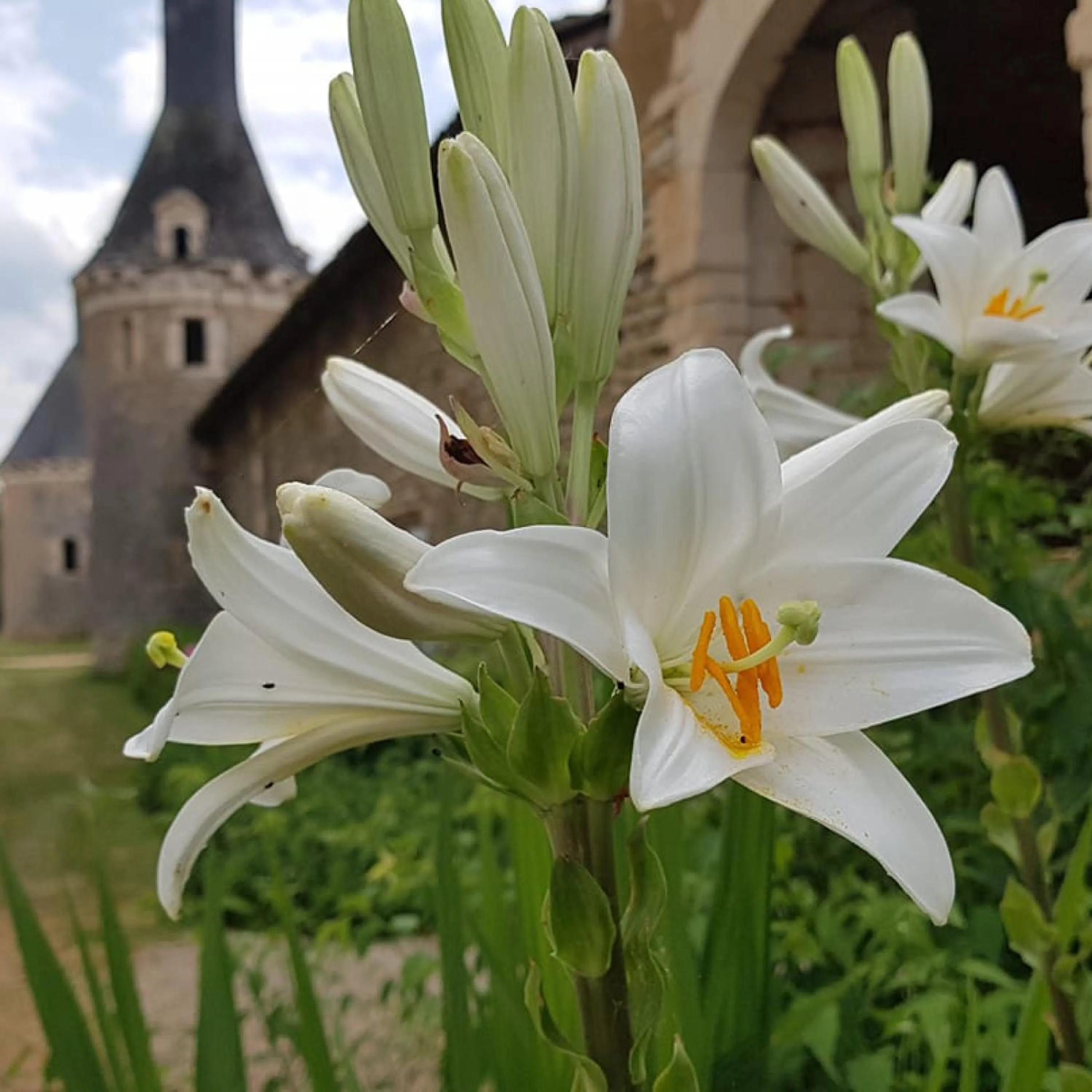 Property building in Le Logis de la Pataudière