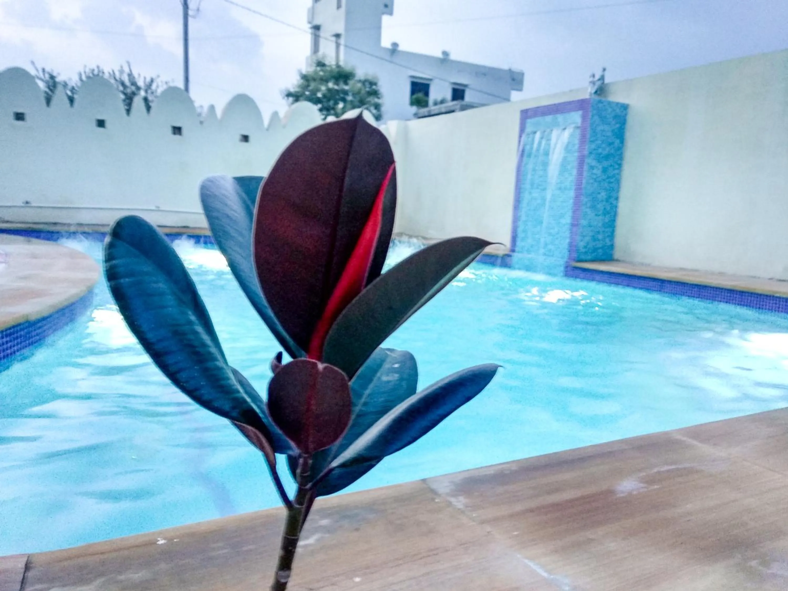 Swimming pool in Hotel Vamdev Fort