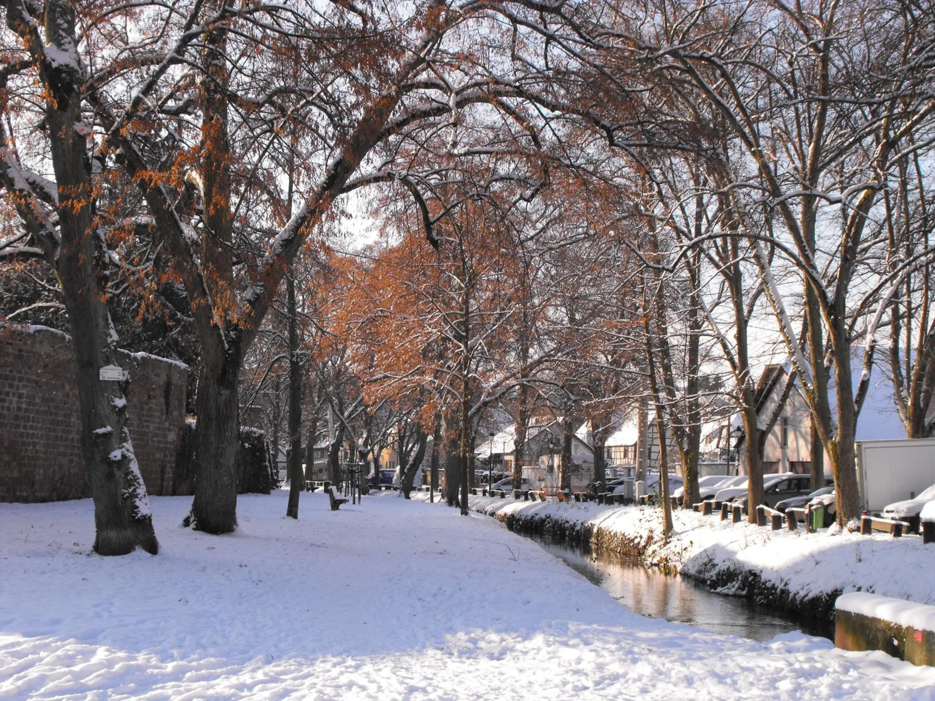 Area and facilities in Hôtel d'Alsace
