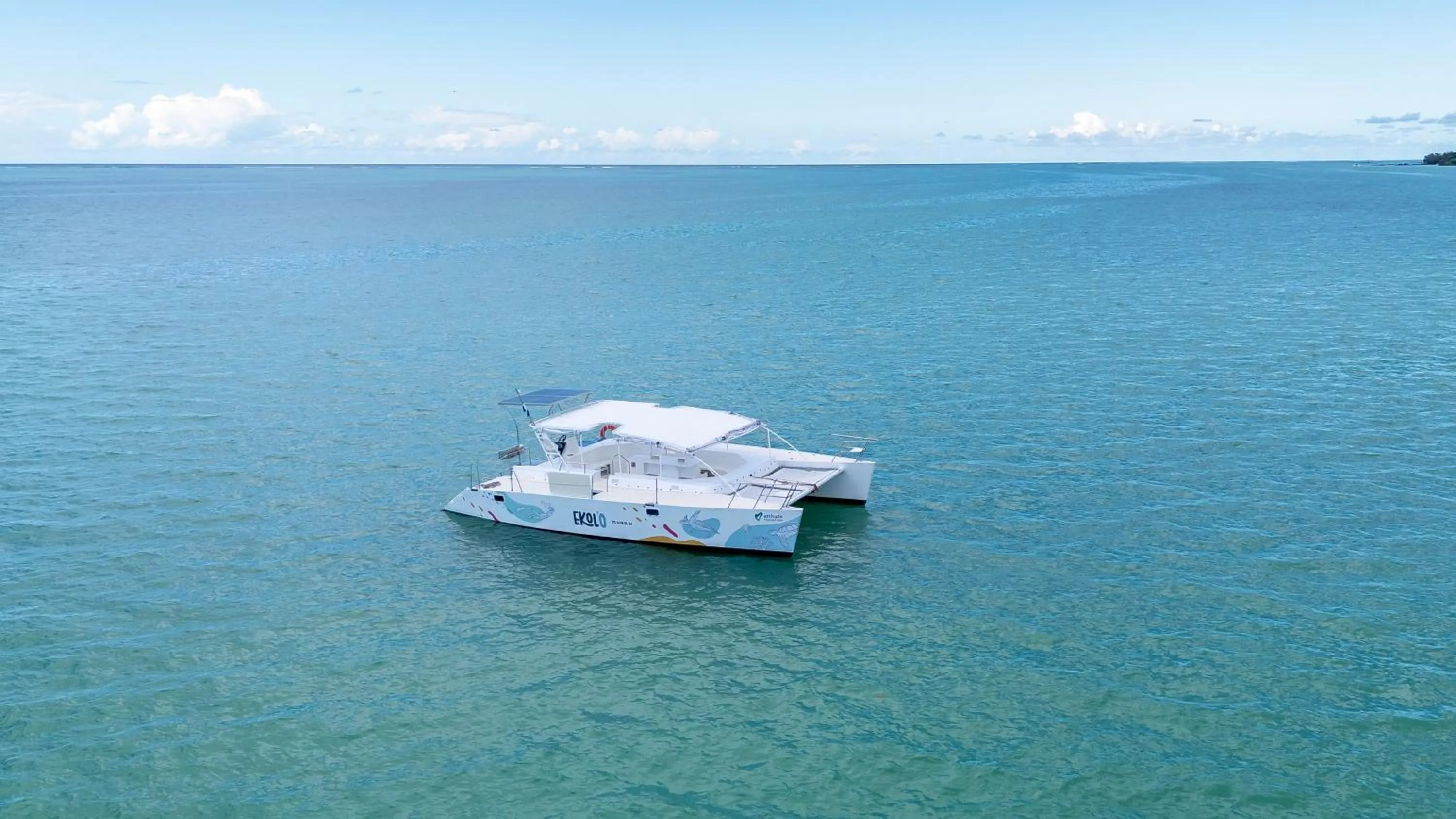 Activities in Lagoon Attitude (Adults Only)