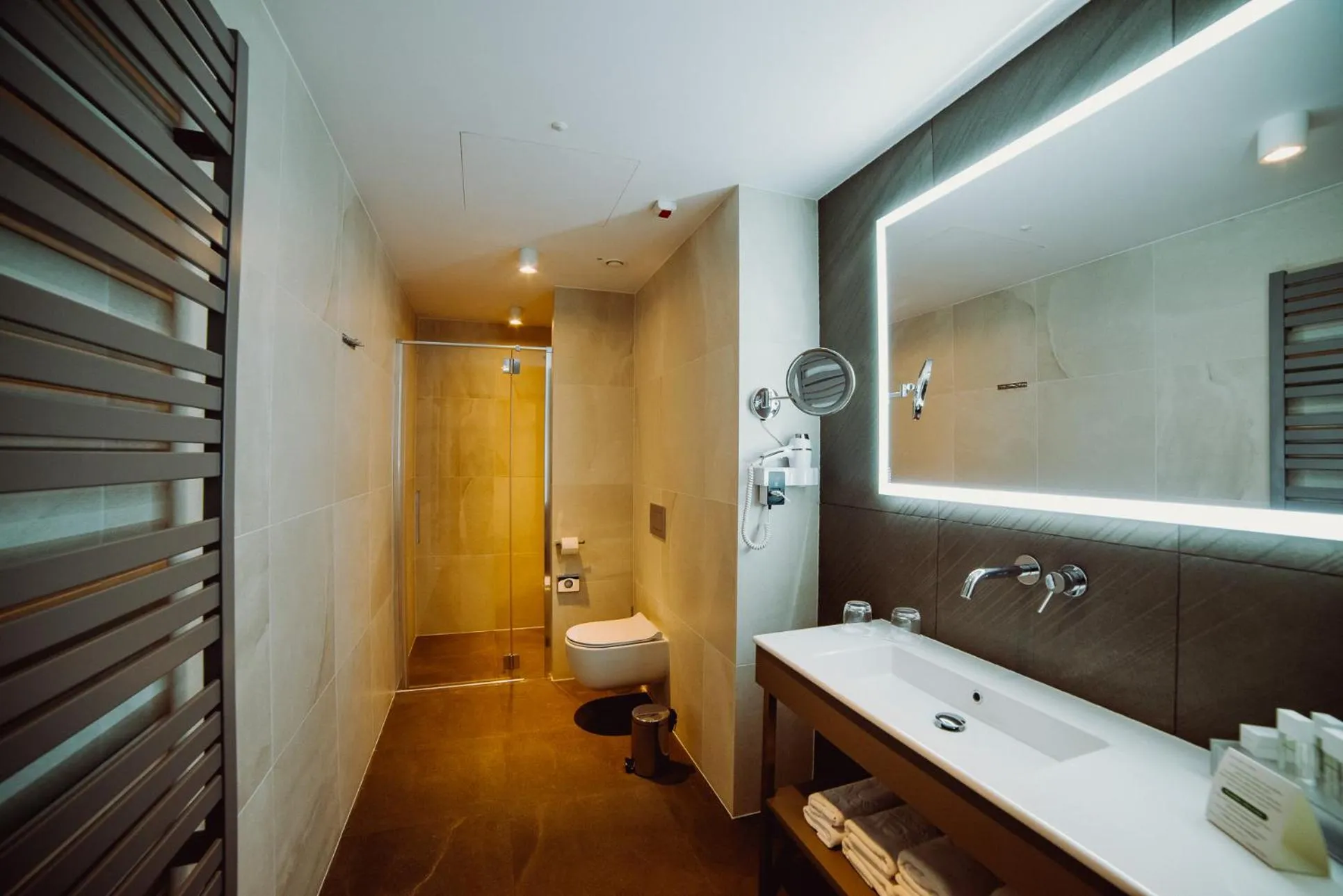 Shower in Hotel Evva