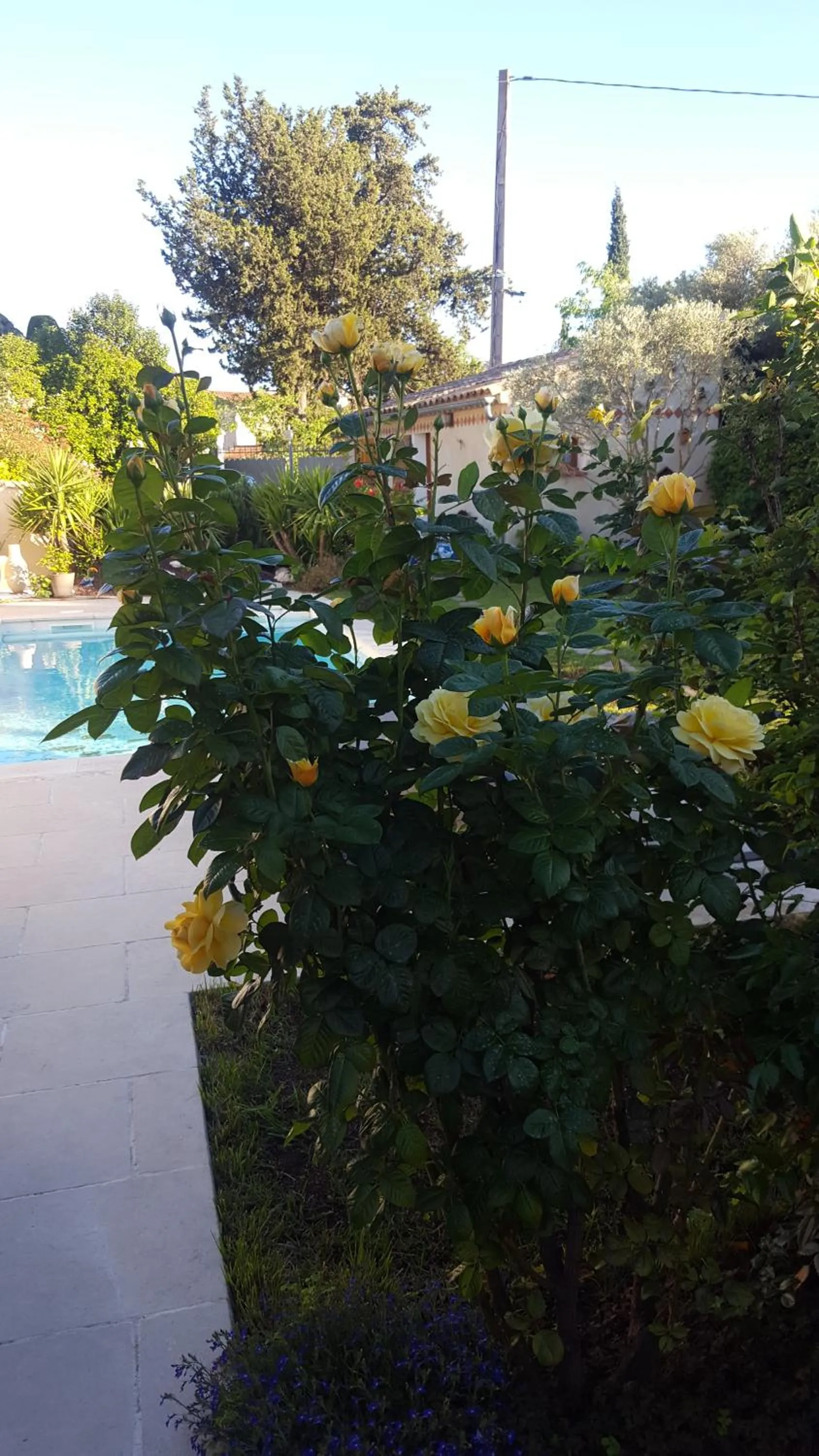 Chambre d'hôtes l'ipomée