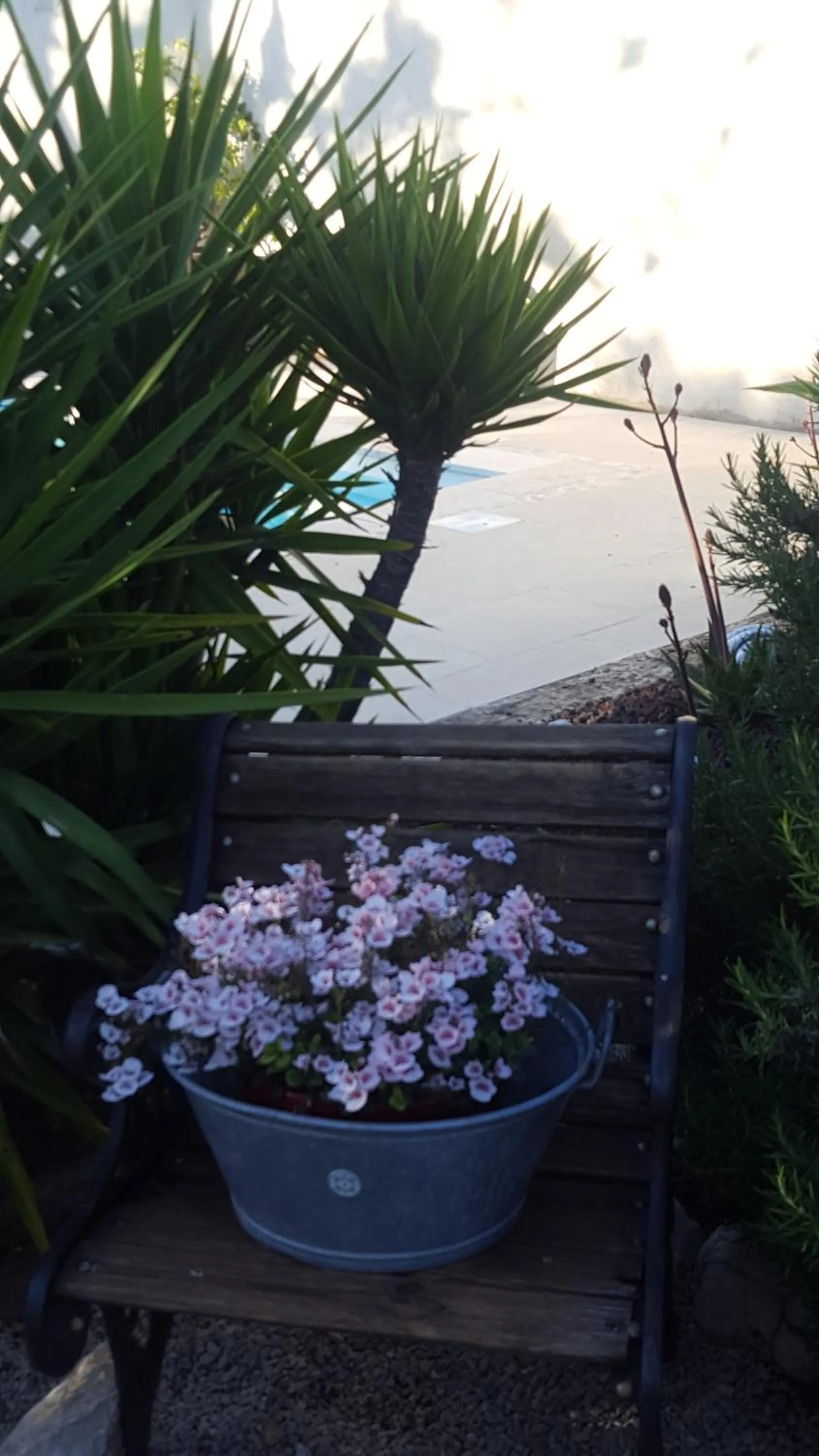 Chambre d'hôtes l'ipomée