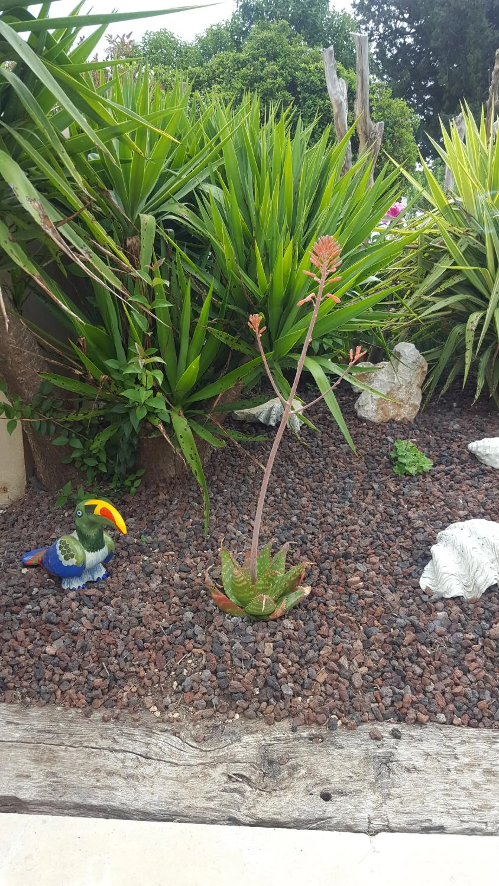 Chambre d'hôtes l'ipomée