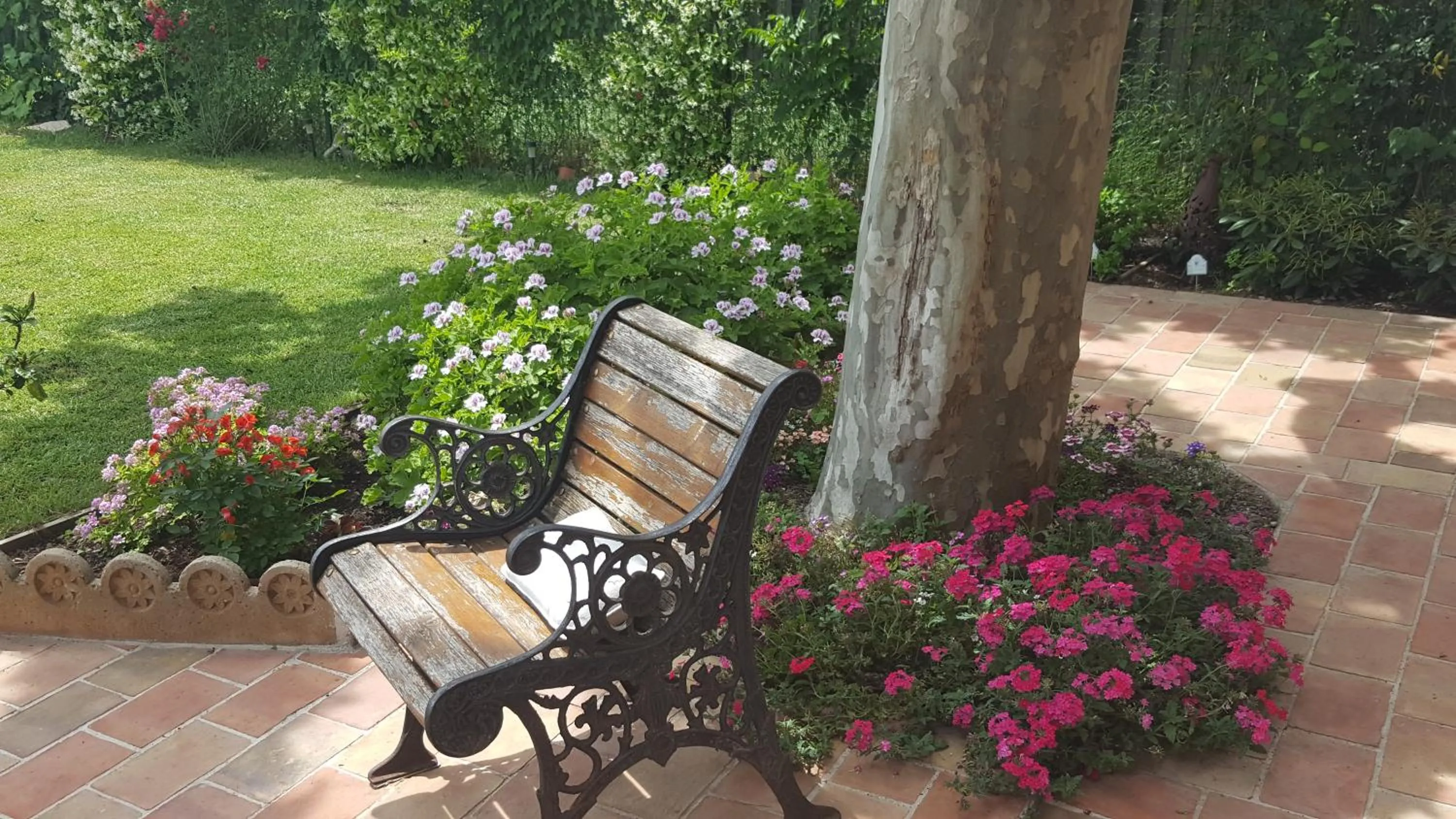 Chambre d'hôtes l'ipomée