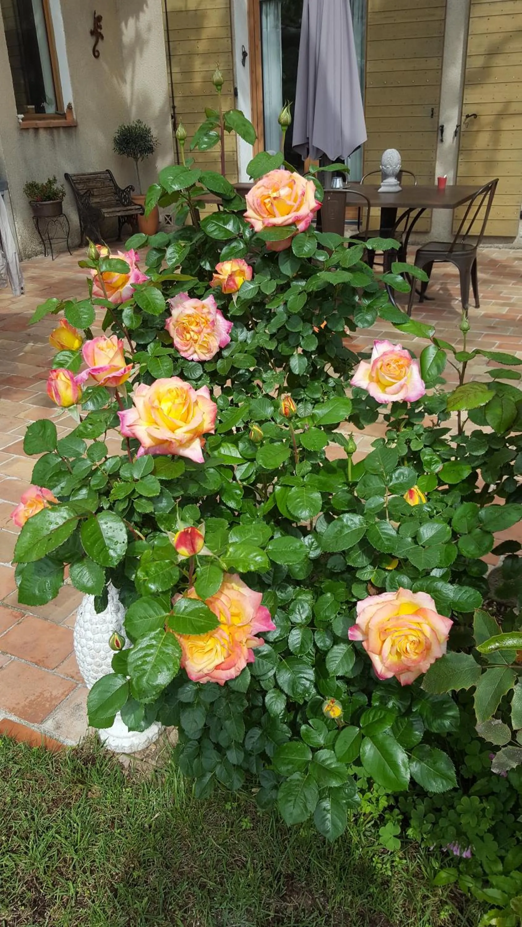 Chambre d'hôtes l'ipomée