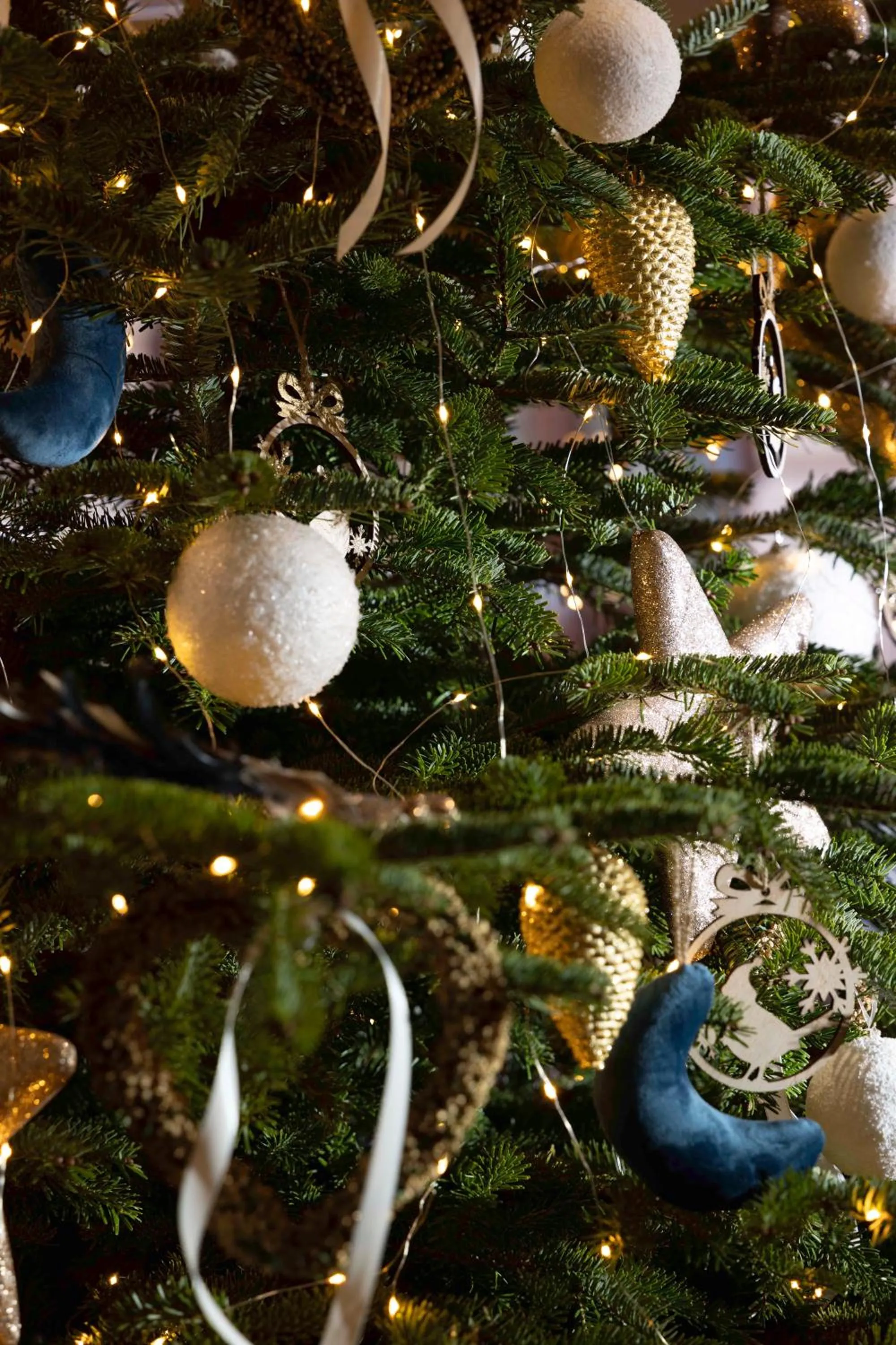 Winter in Hotel Le Bugatti