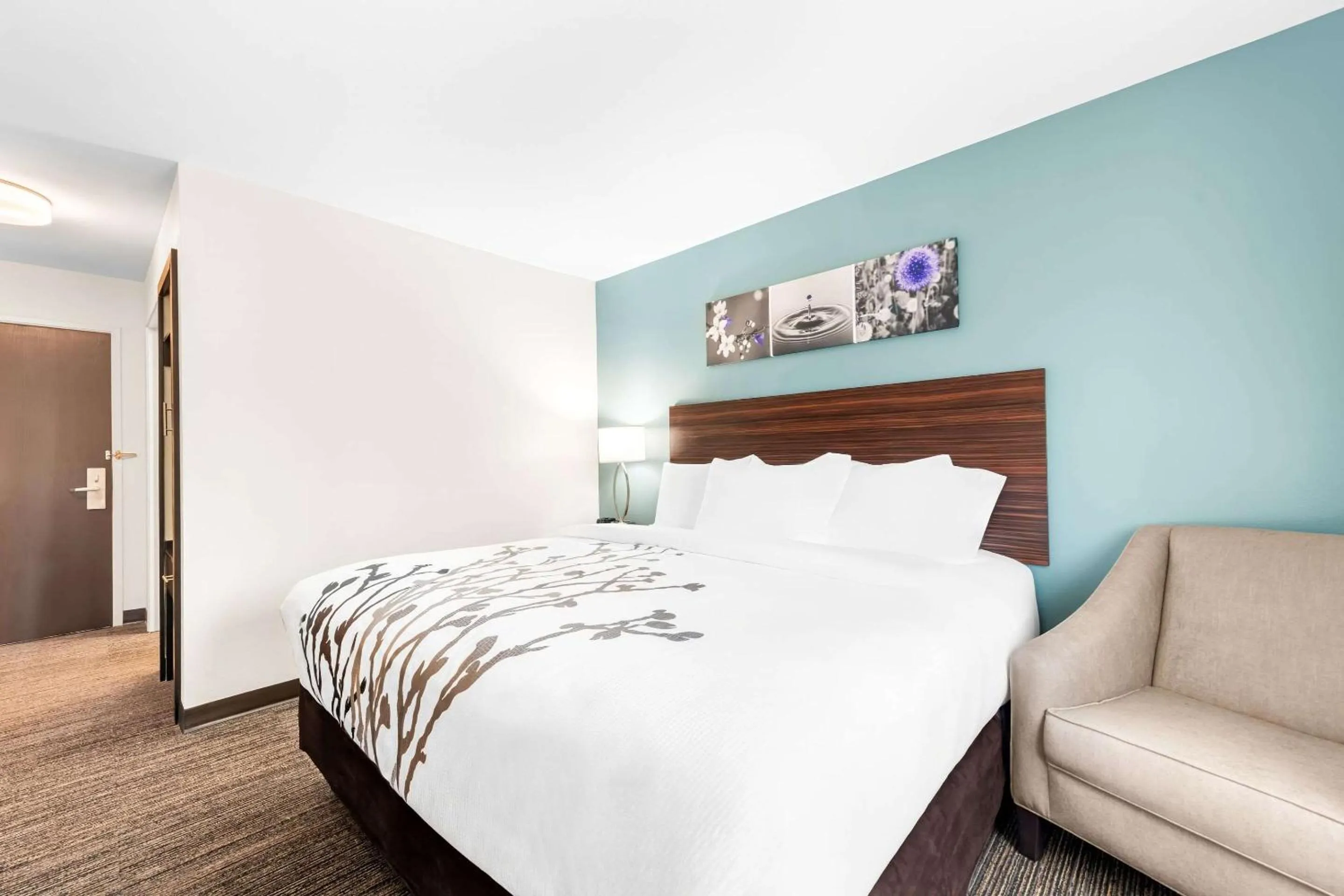 Bedroom, Bed in Sleep Inn & Suites Pigeon Forge Downtown