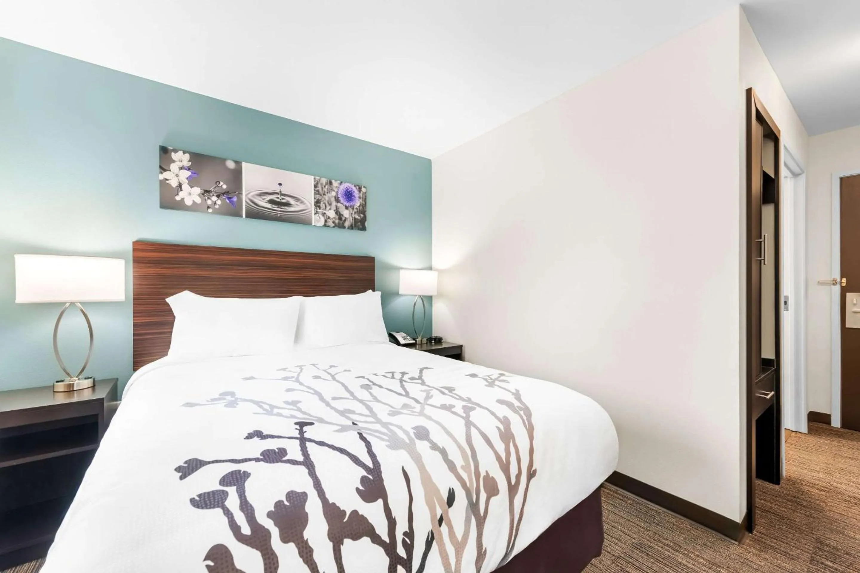 Bedroom, Bed in Sleep Inn & Suites Pigeon Forge Downtown