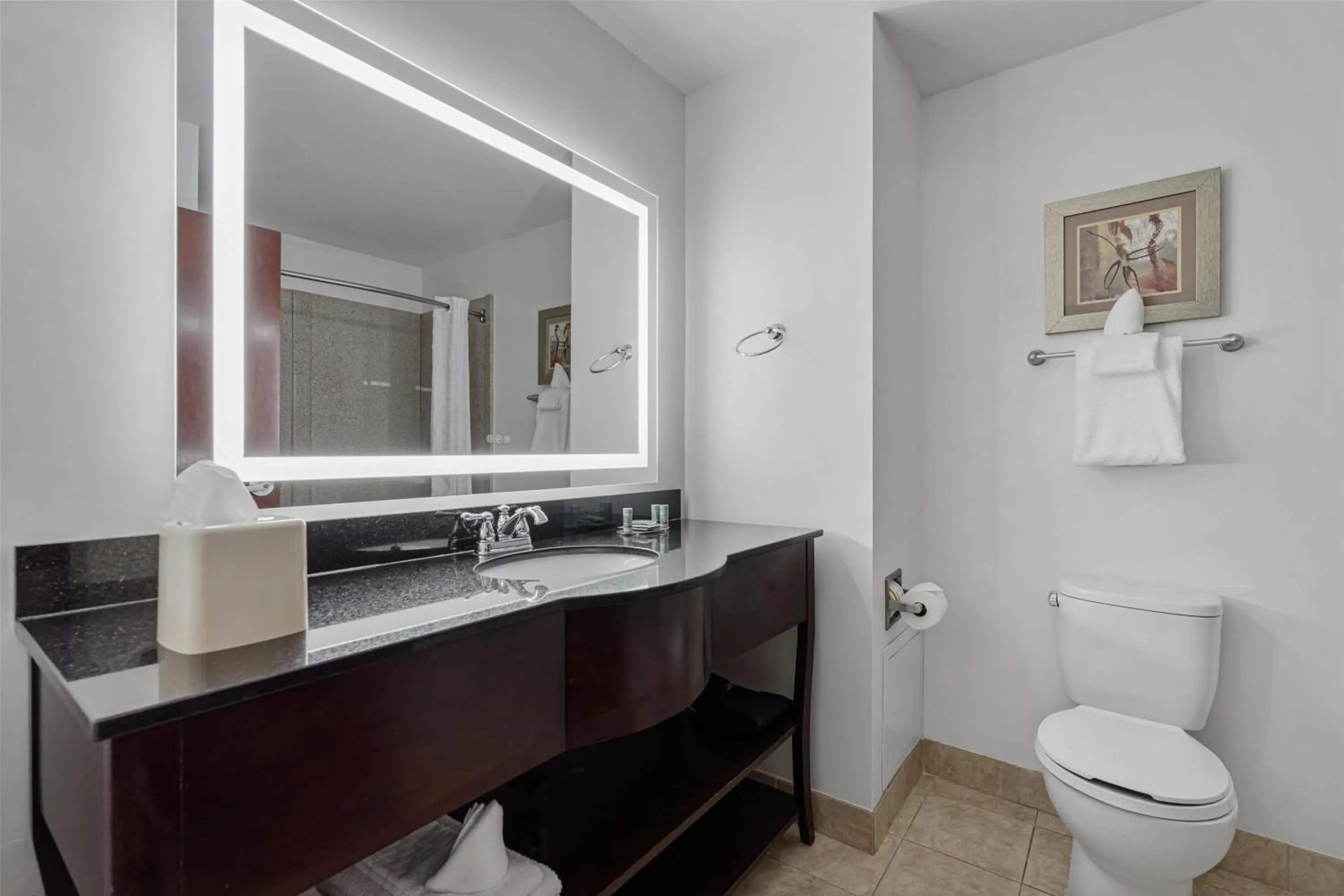 Bathroom in Best Western Garden Inn