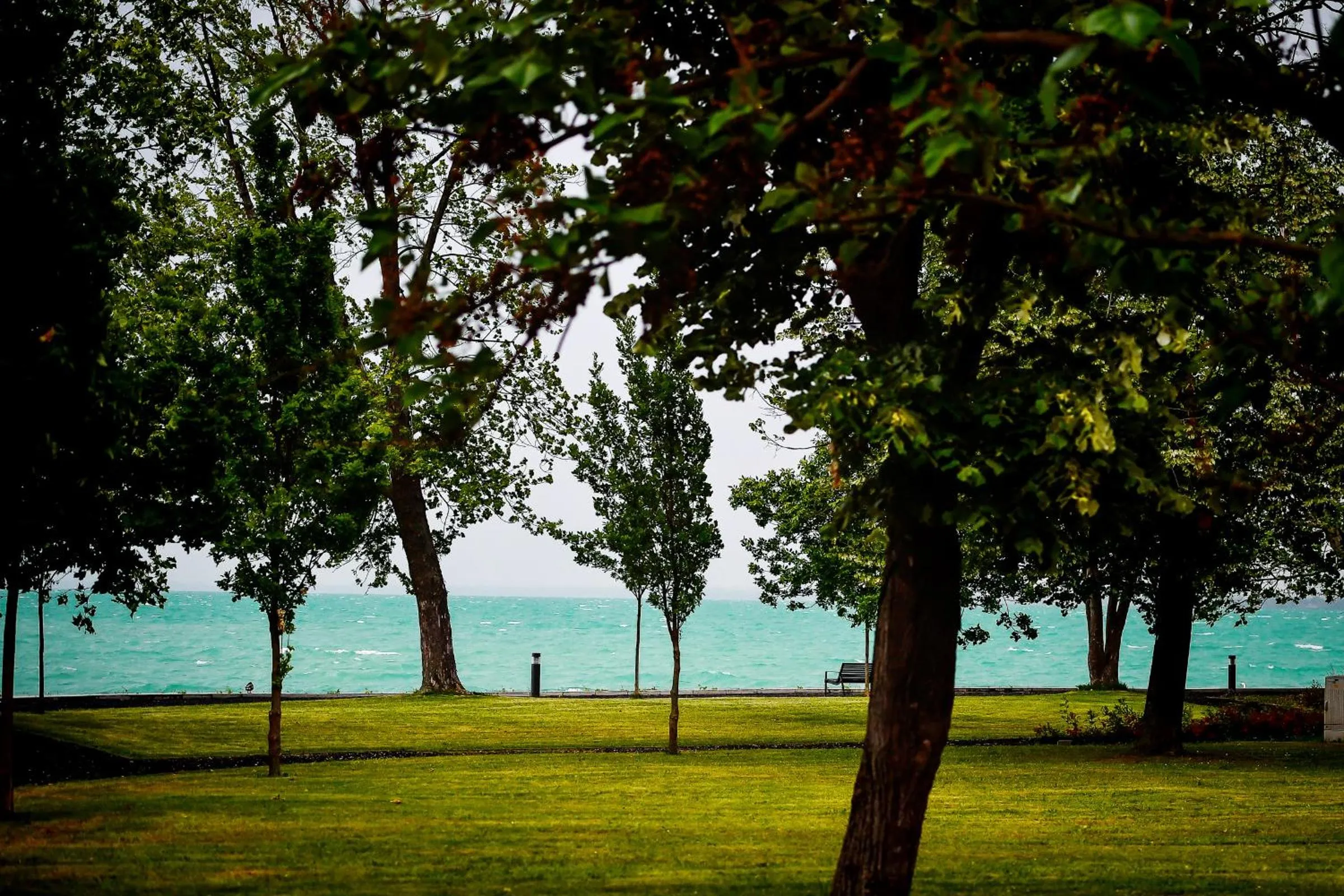 Garden in Oliver Lux