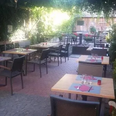 Garden in Hôtel Restaurant Aux Deux Roses