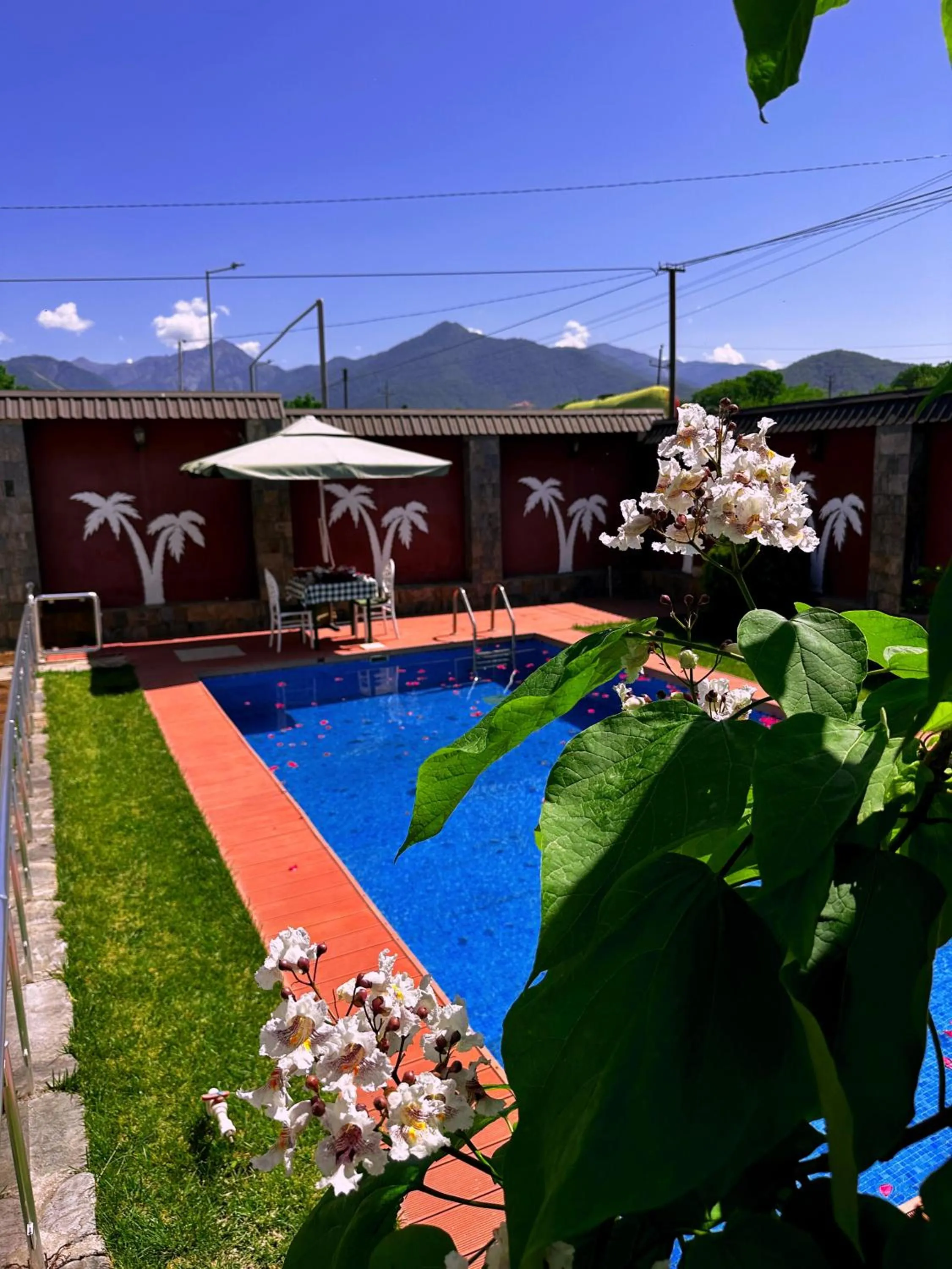 Property building in Qafqaz Fountain Villa