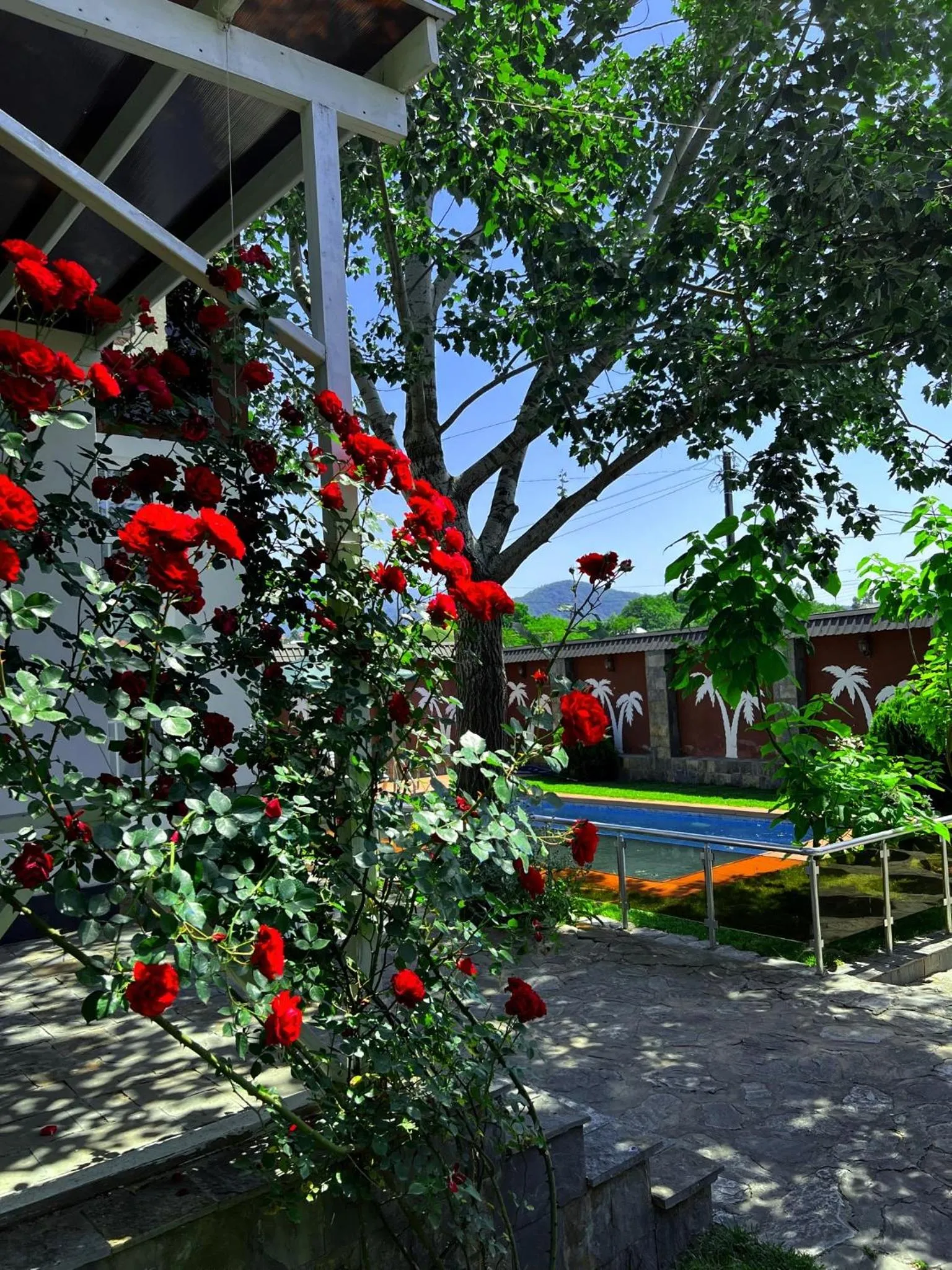 Property building in Qafqaz Fountain Villa