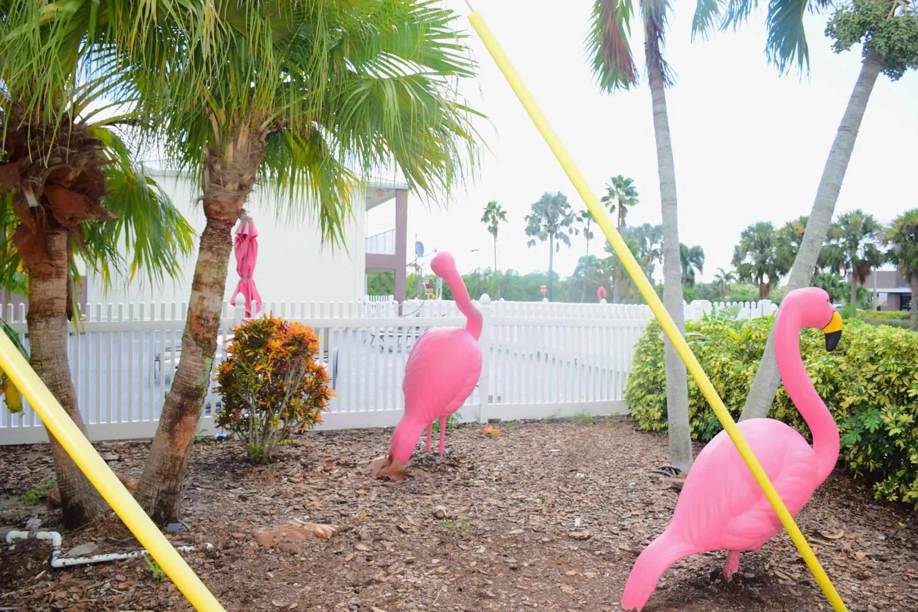 Flamingo Motel
