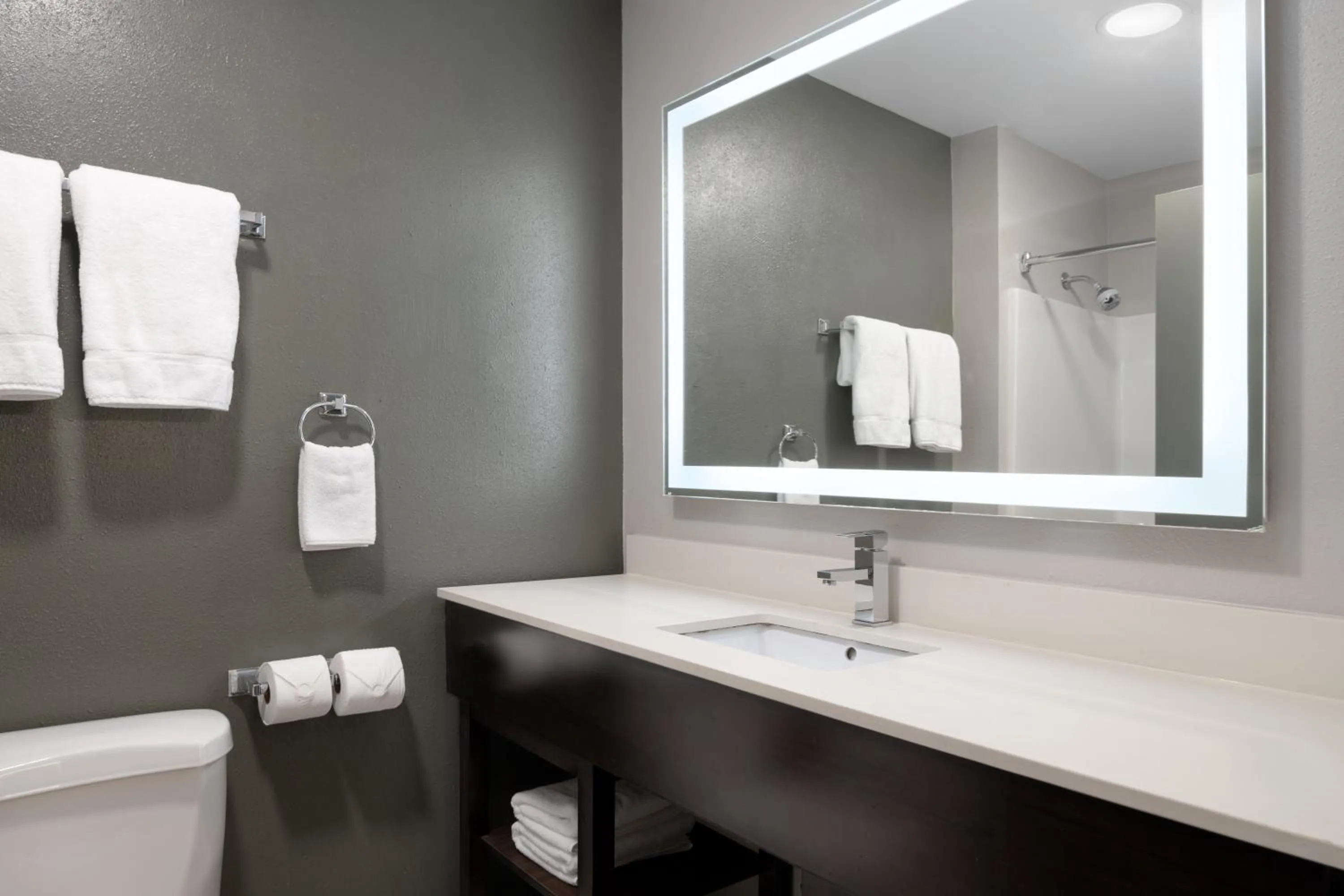 Bathroom in Best Western Sugar Sands Inn & Suites