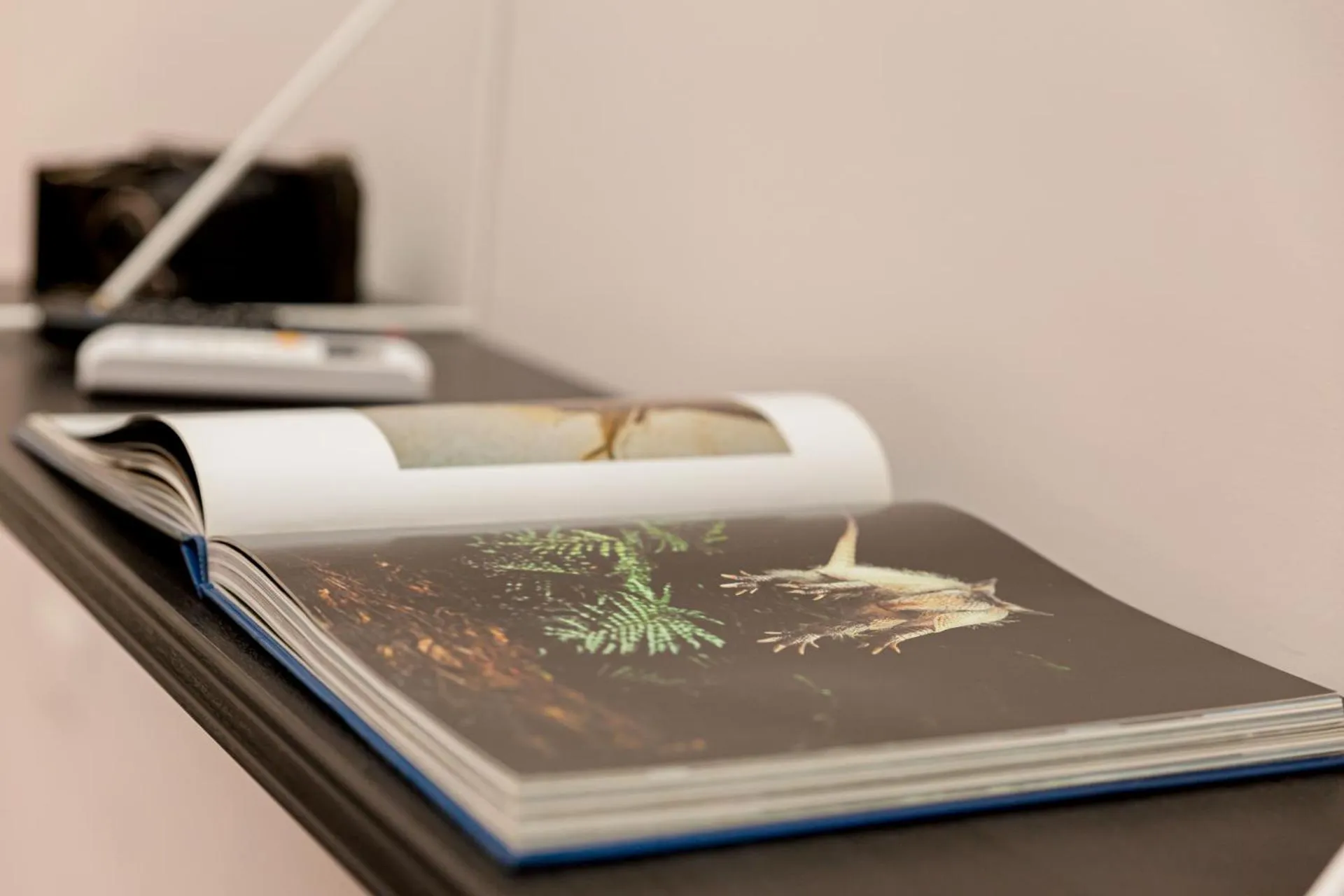 Decorative detail in N'Art Suites - Napoli