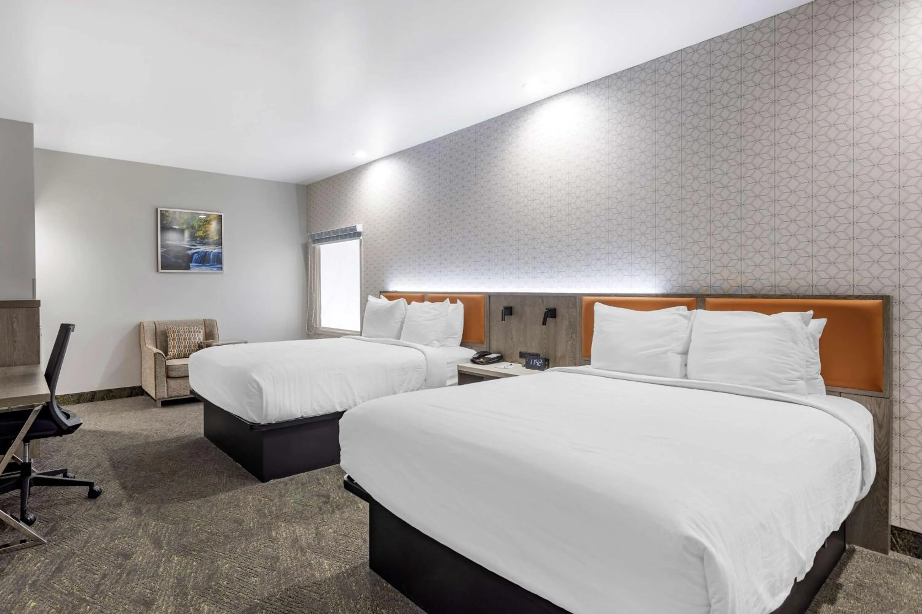 Photo of the whole room, Bed in Best Western Plus Apple Valley Lodge Pigeon Forge