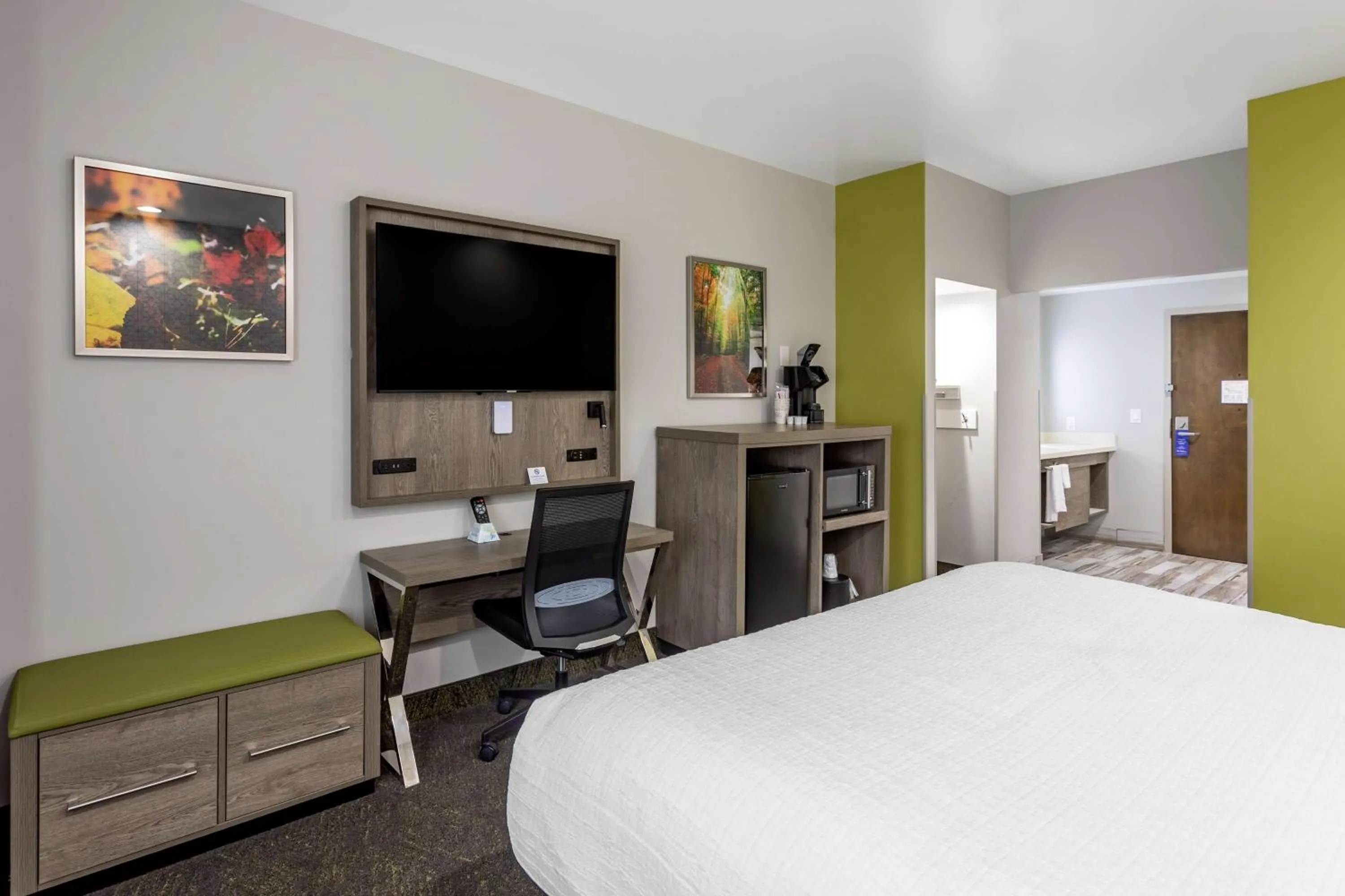 Photo of the whole room, Bed in Best Western Plus Apple Valley Lodge Pigeon Forge