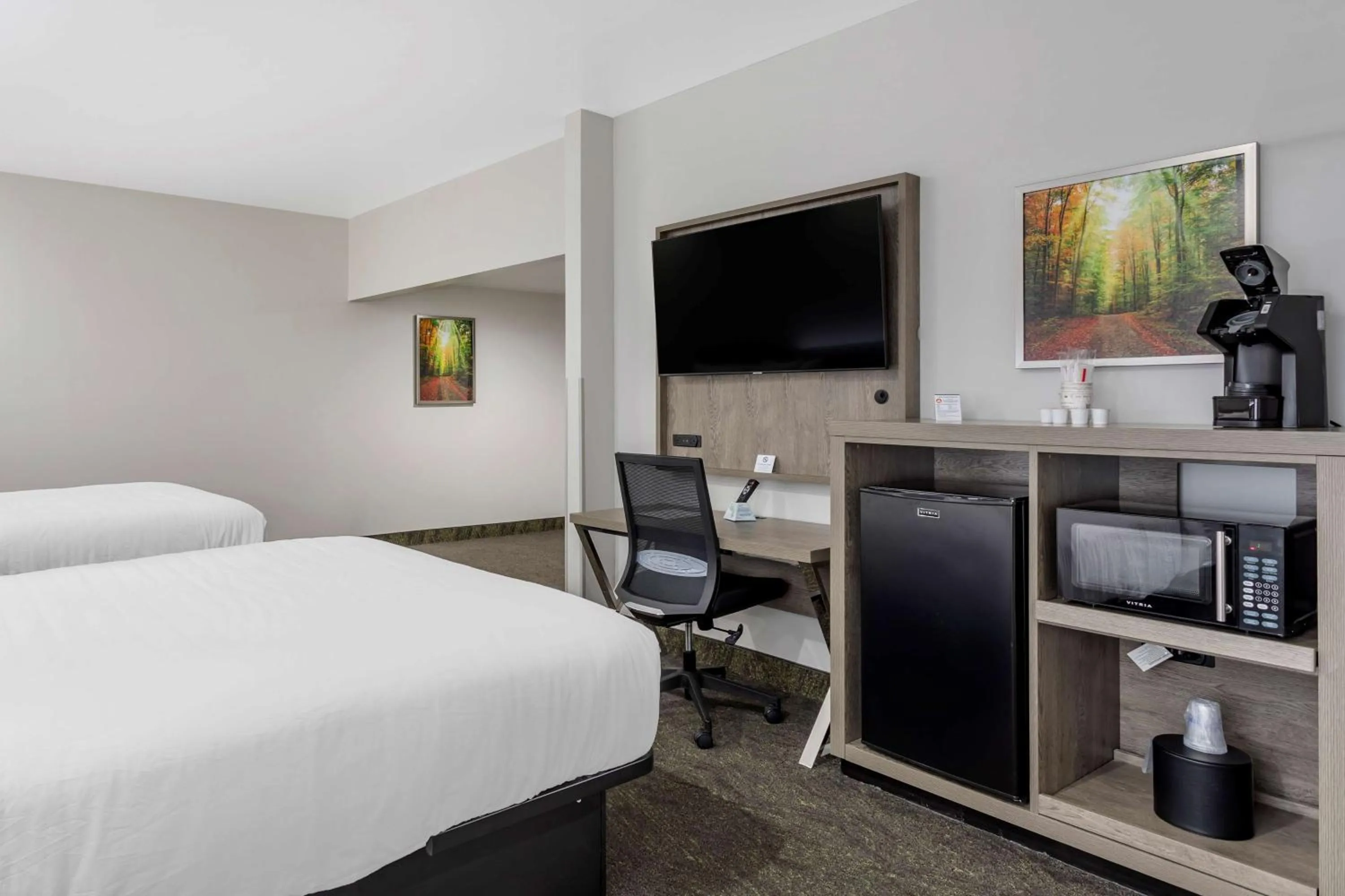 Photo of the whole room, Bed in Best Western Plus Apple Valley Lodge Pigeon Forge