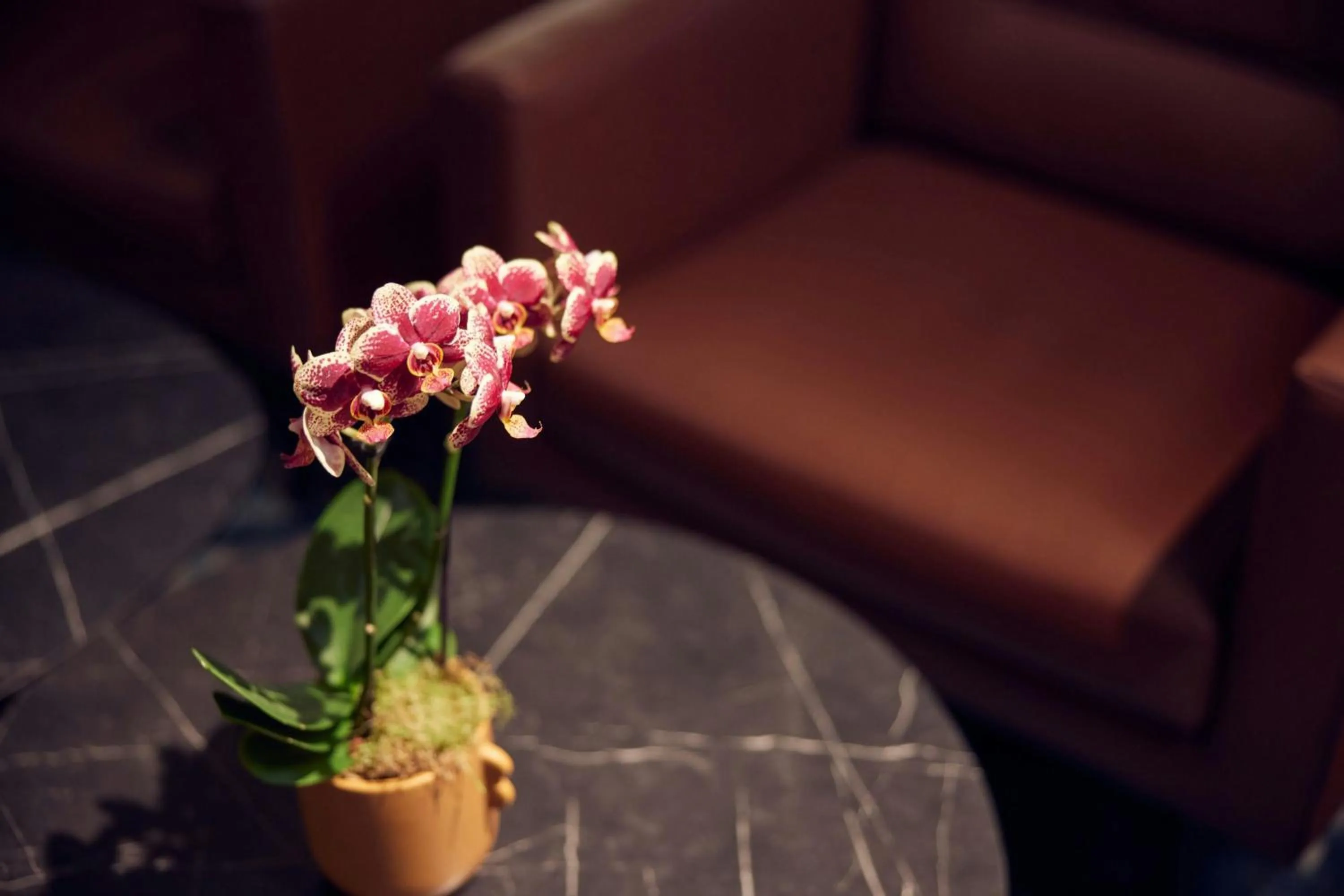 Other in L'Hermitage Gantois, Autograph Collection