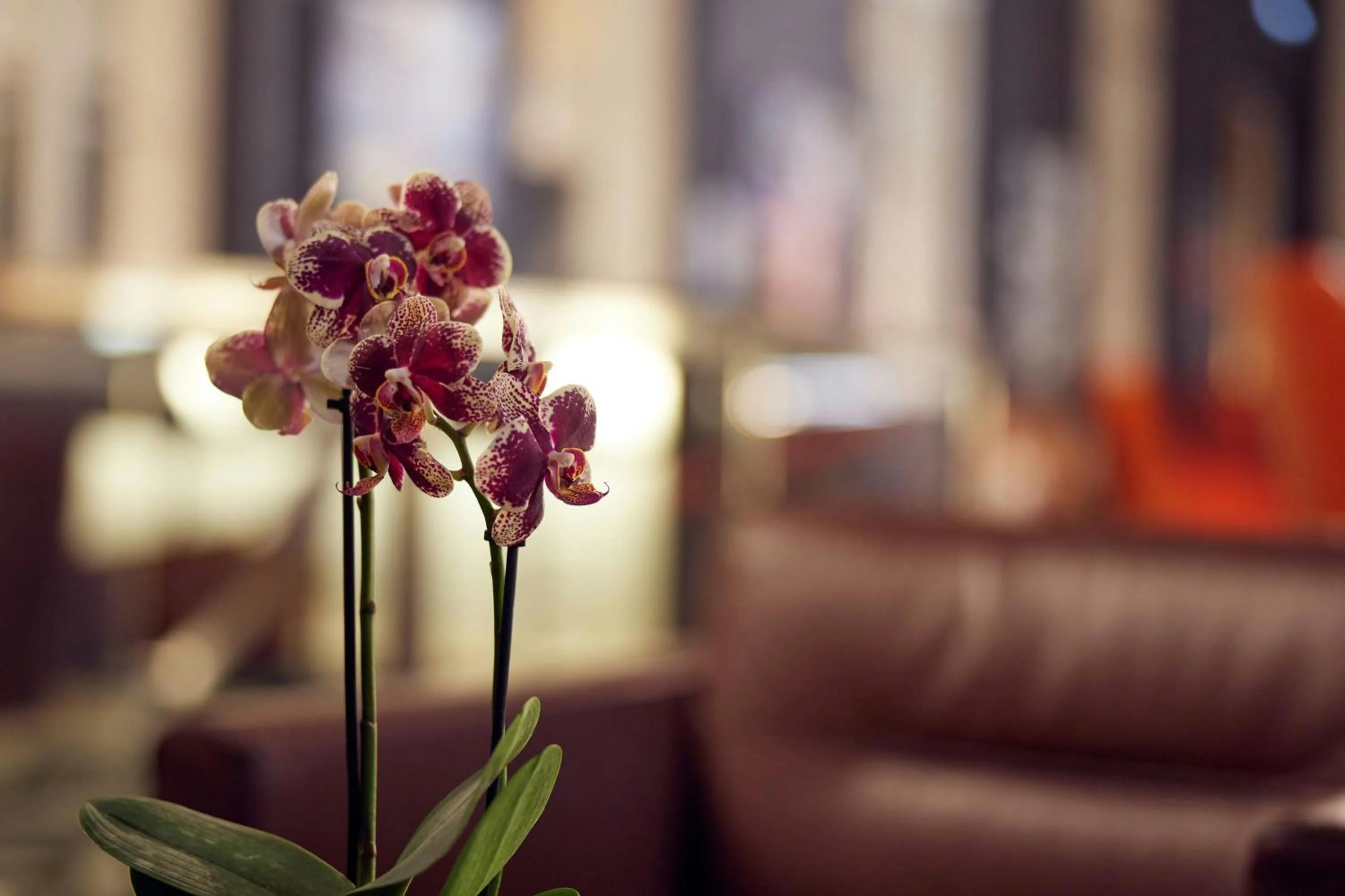 Other in L'Hermitage Gantois, Autograph Collection