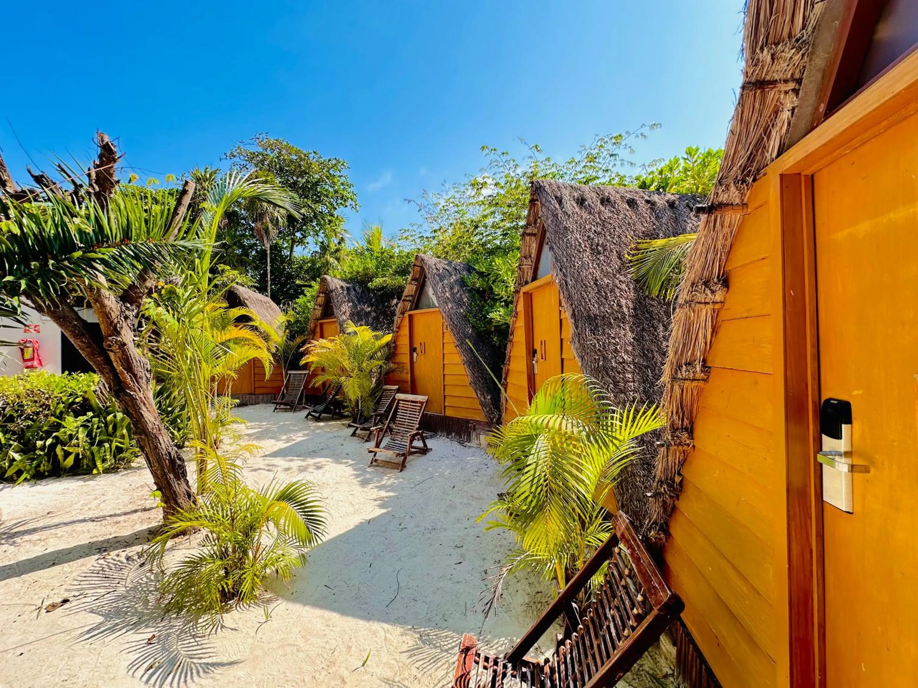 Day in Mia Tulum Beachfront Resort - Ocean View Suites and Beach Club