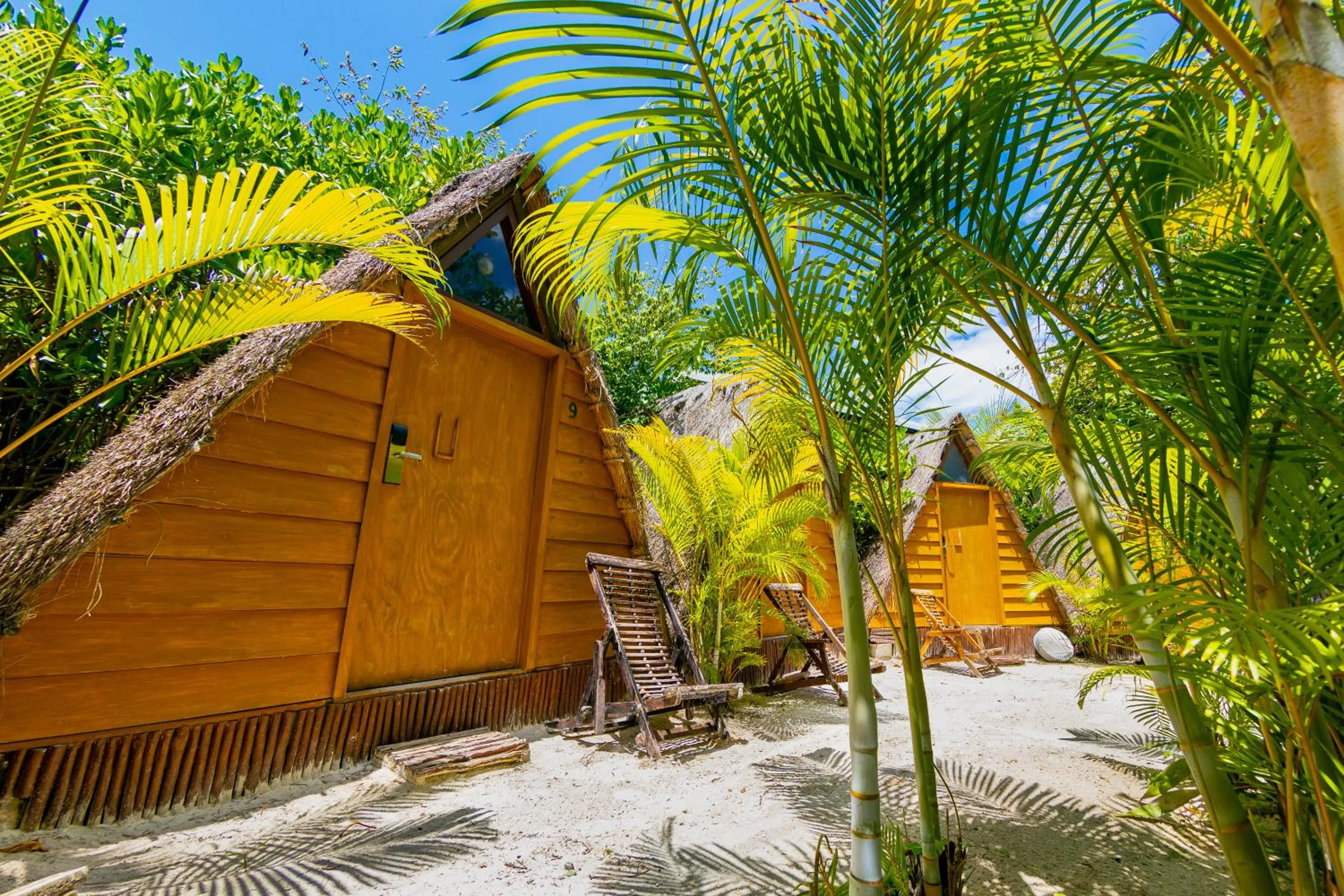 Spring in Mia Tulum Beachfront Resort - Ocean View Suites and Beach Club